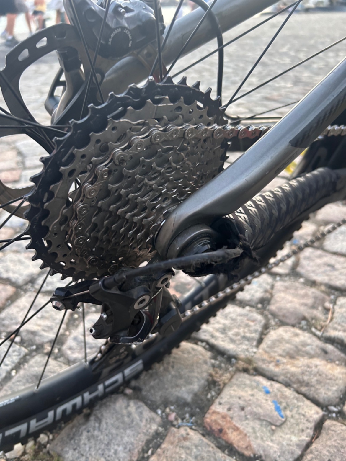 Bike view 7
