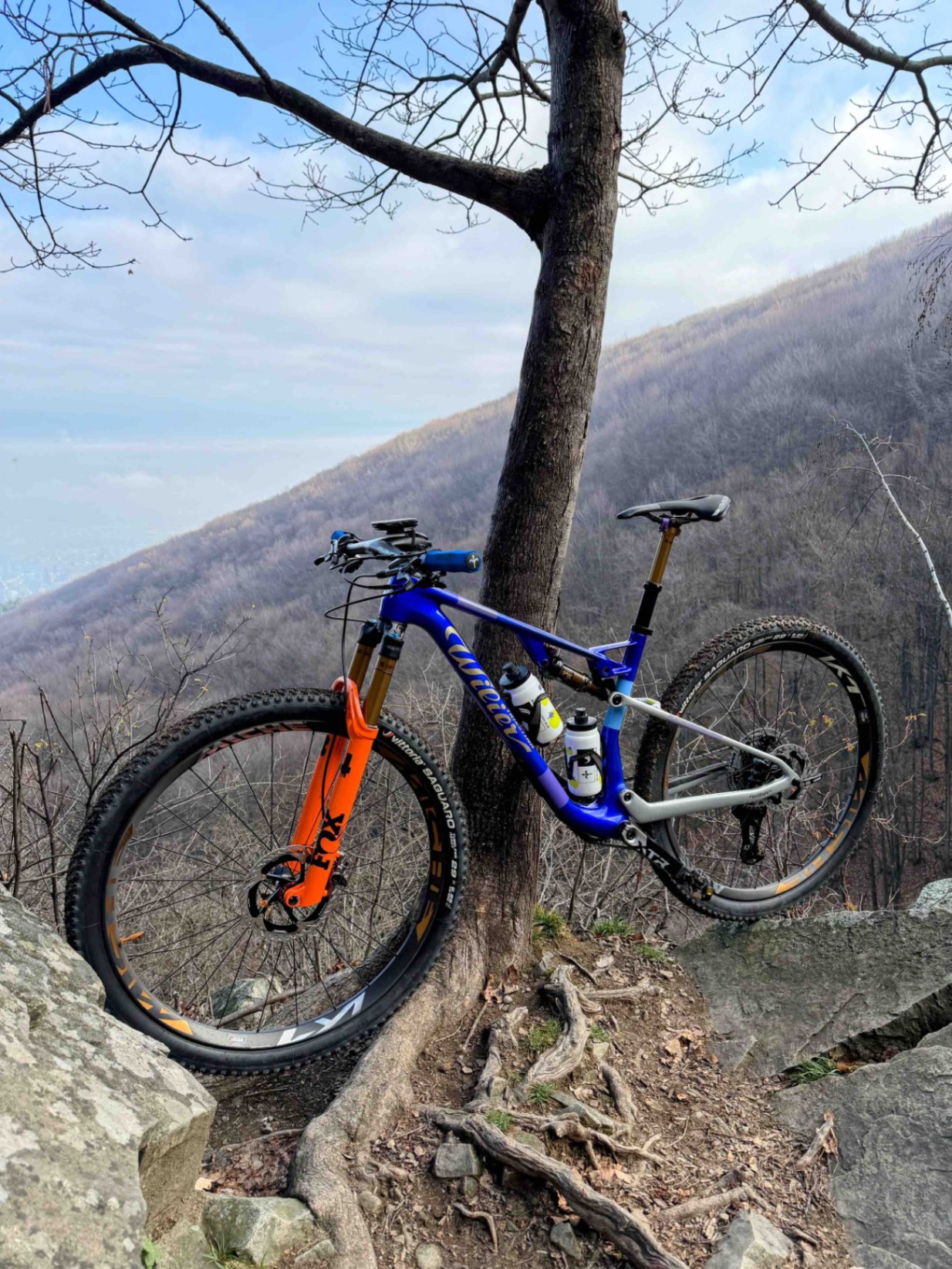 Bike view 2