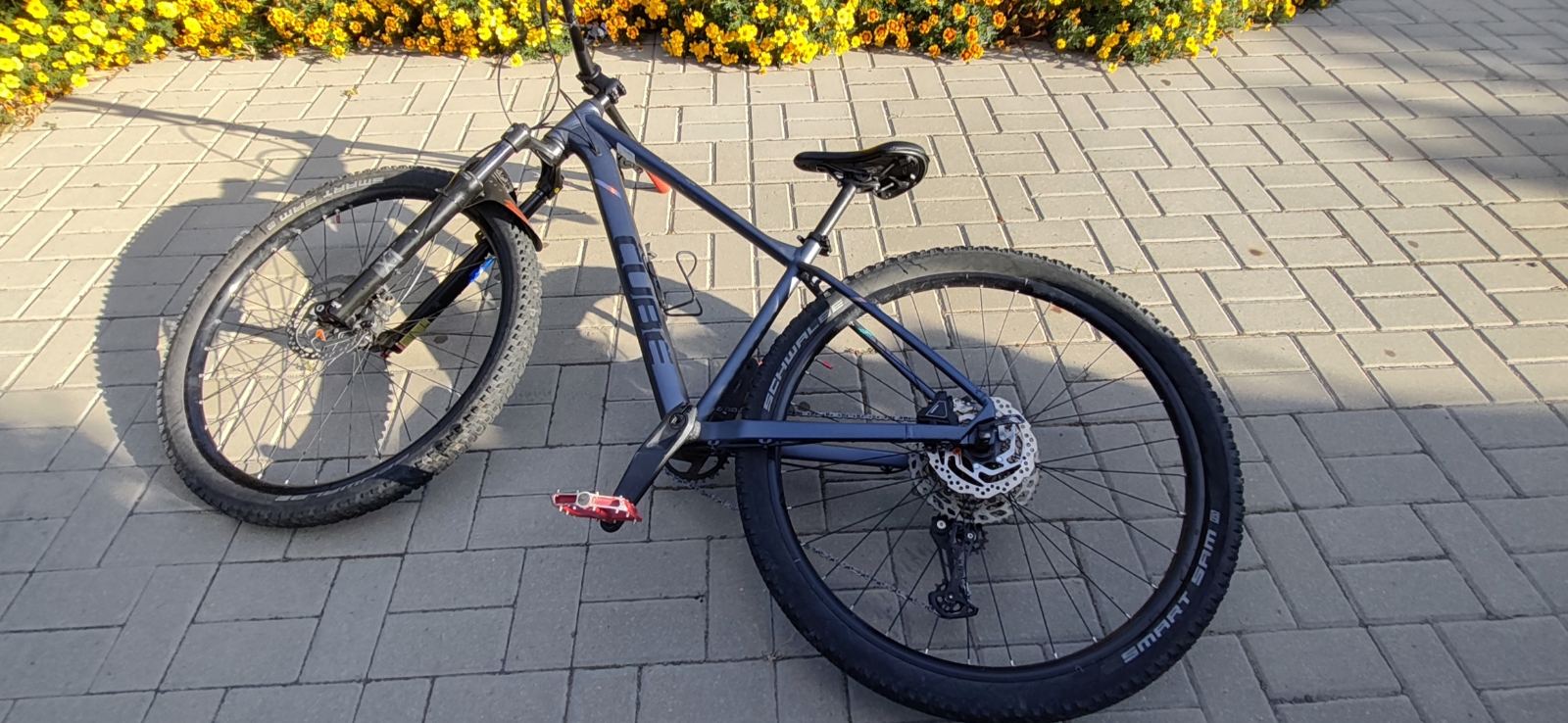 Bike view 5