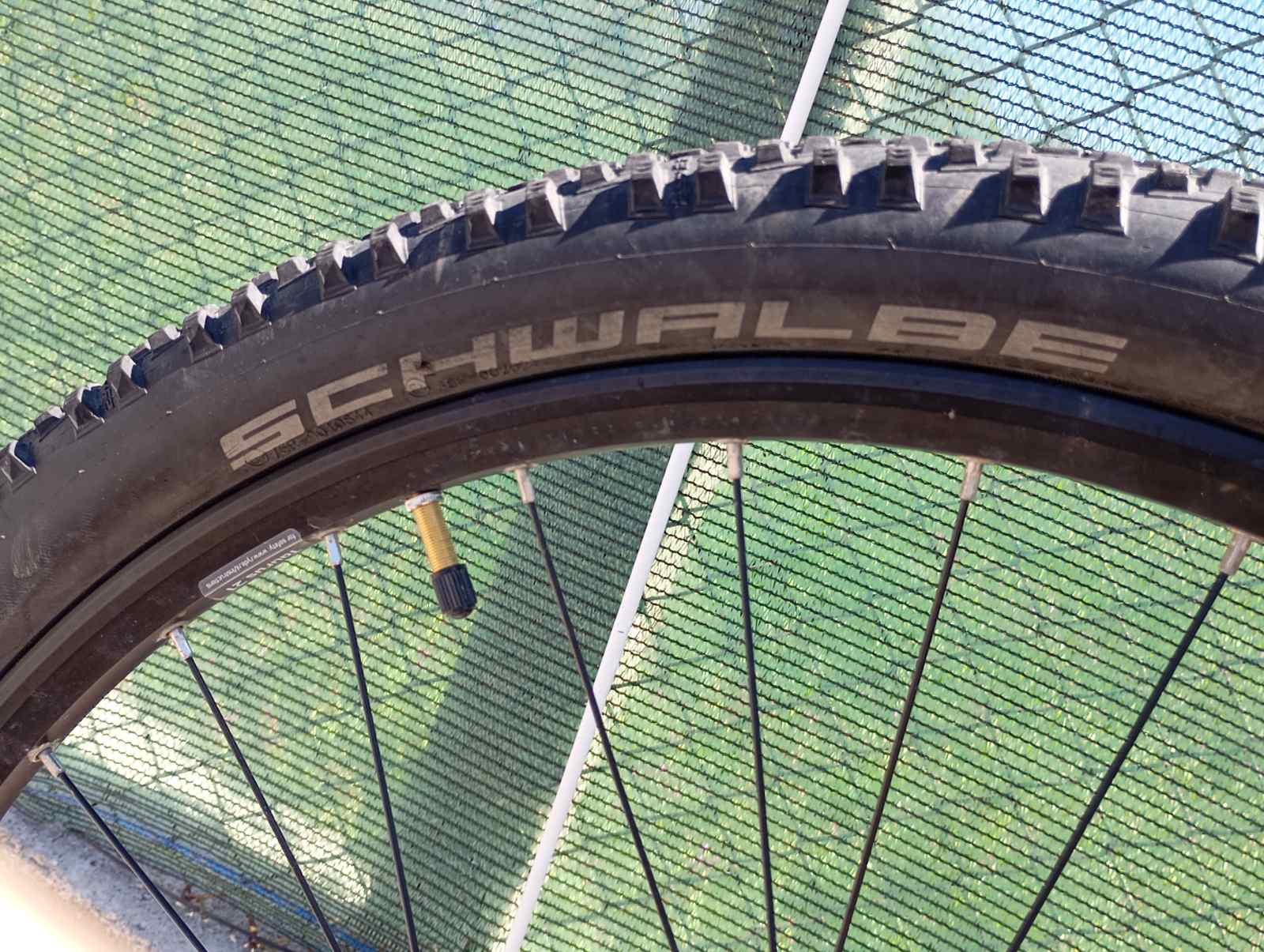 Bike view 7
