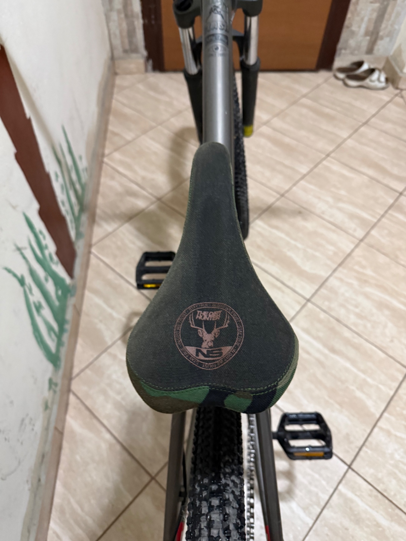 Bike view 5