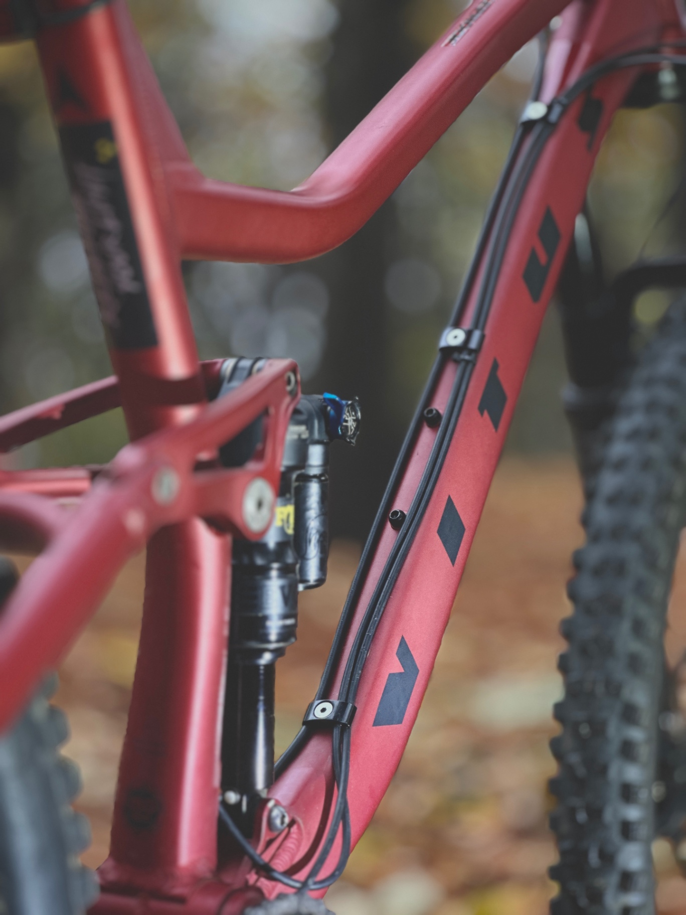 Bike view 2