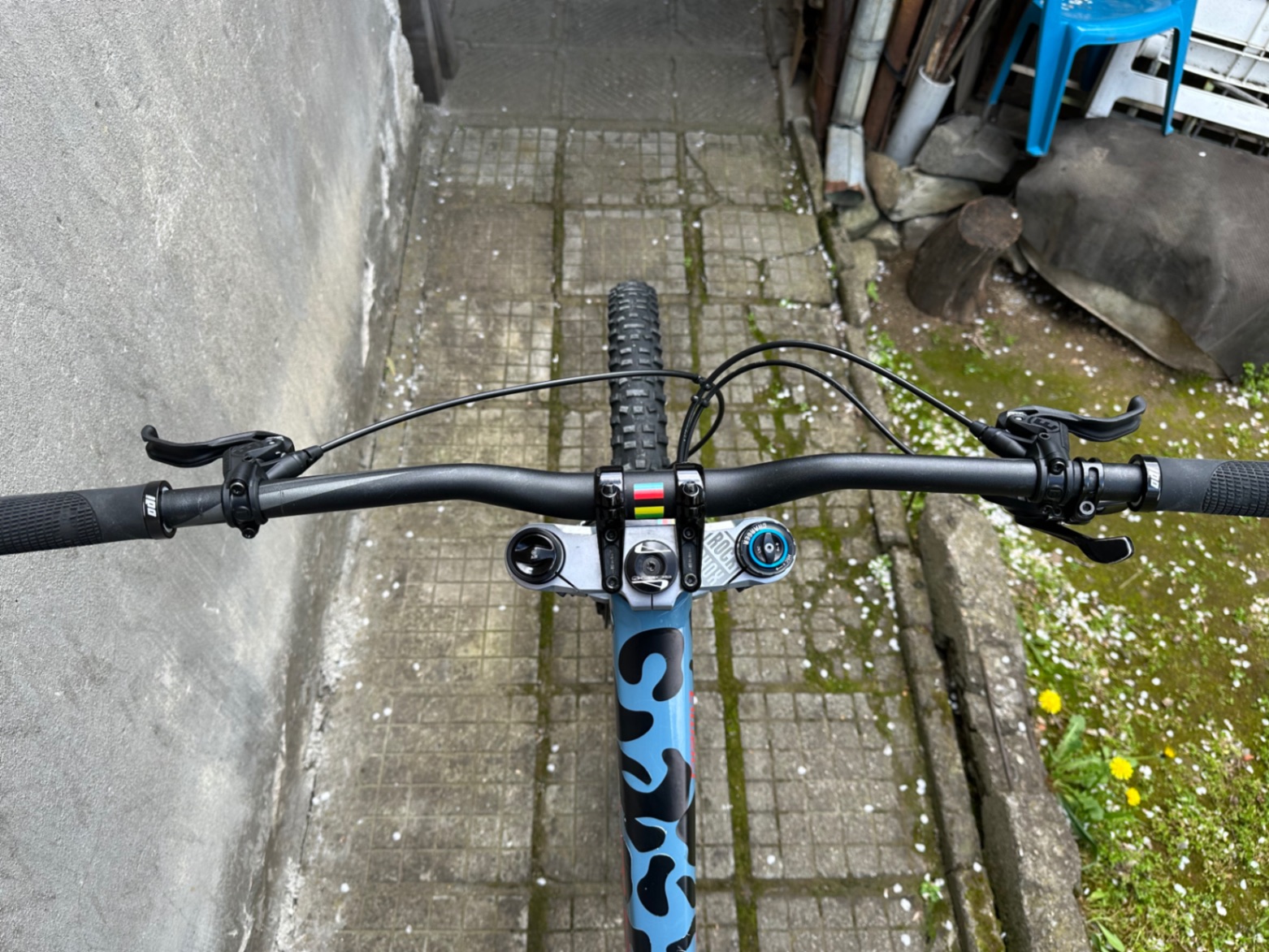 Bike view 9