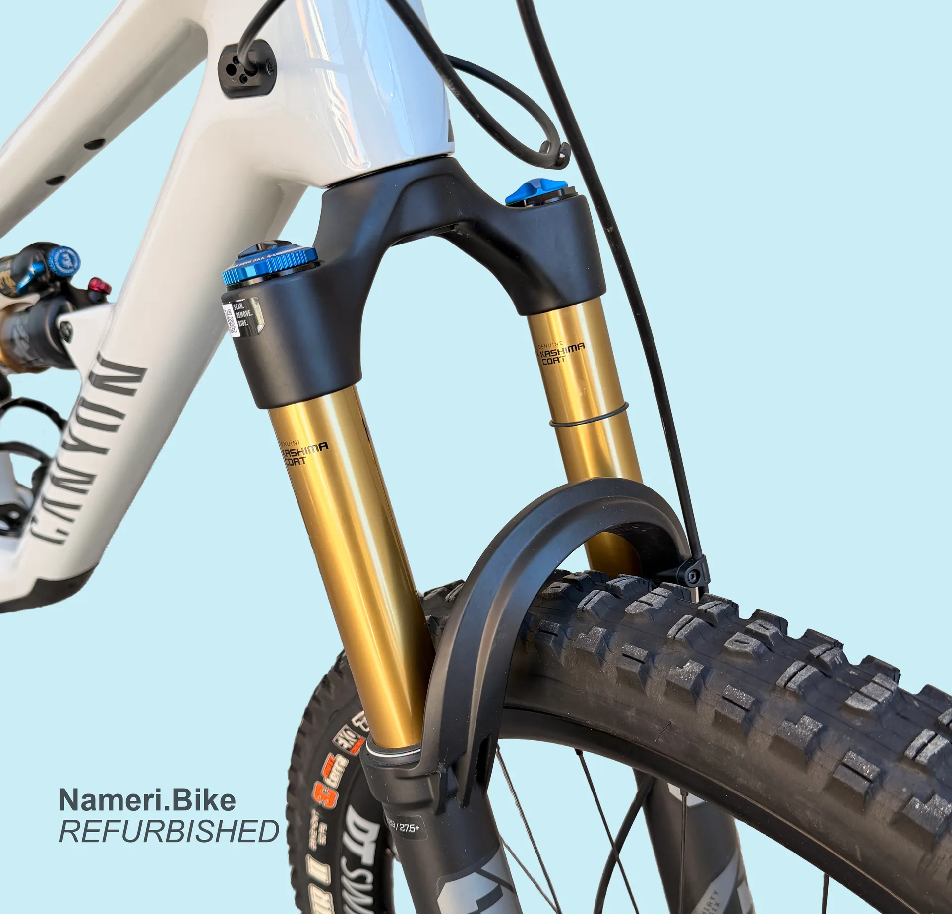 Canyon Spectral 29 CF 9.0 view 3