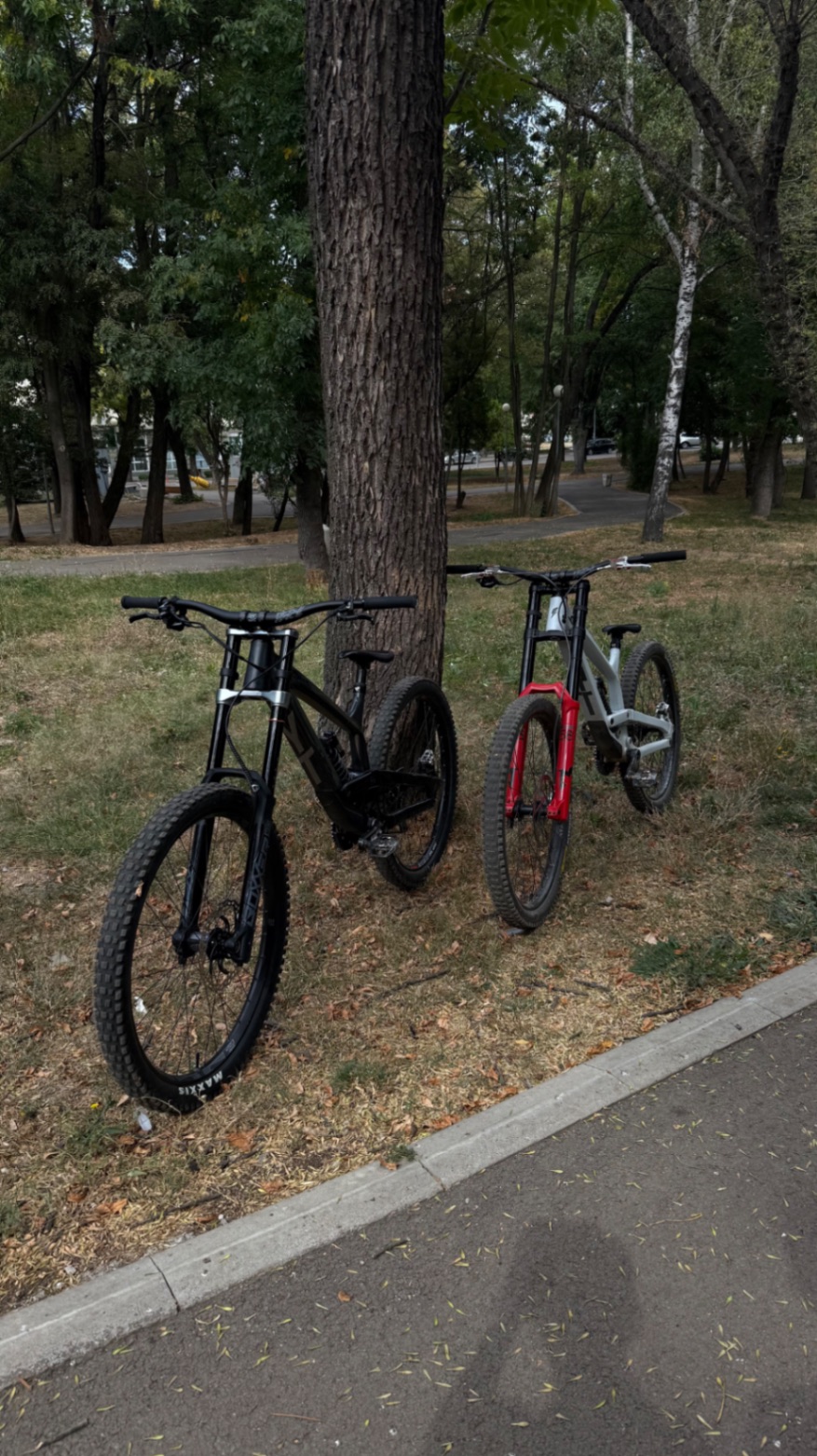 Bike view 2