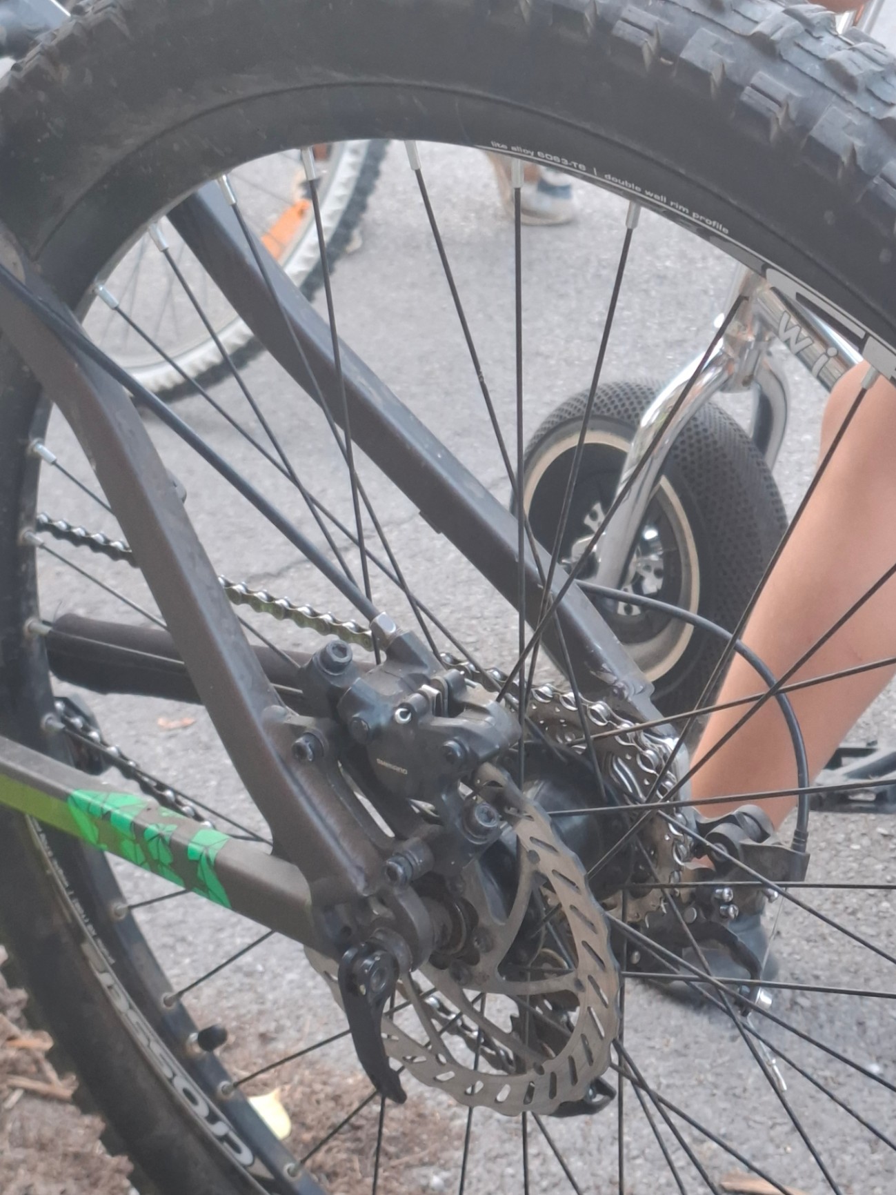 Bike view 11