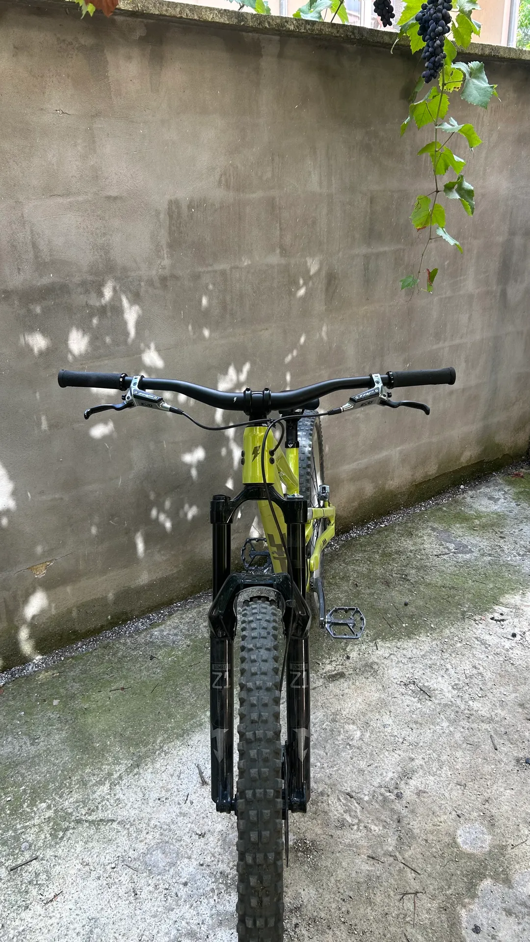 YT Industries Capra AL Base view 3