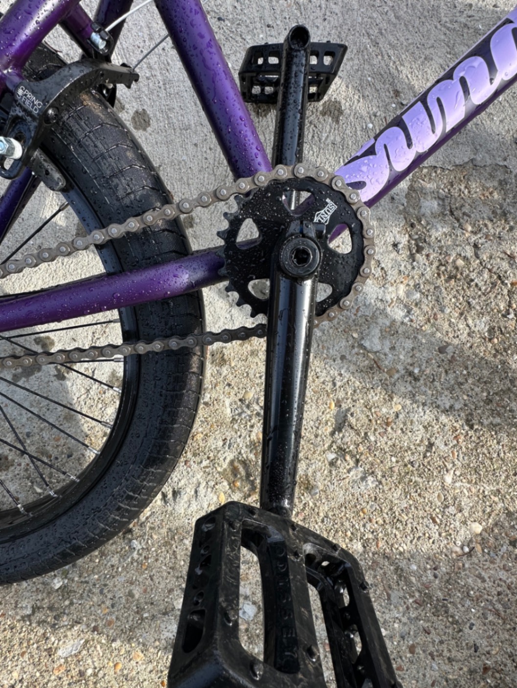 Bike view 7