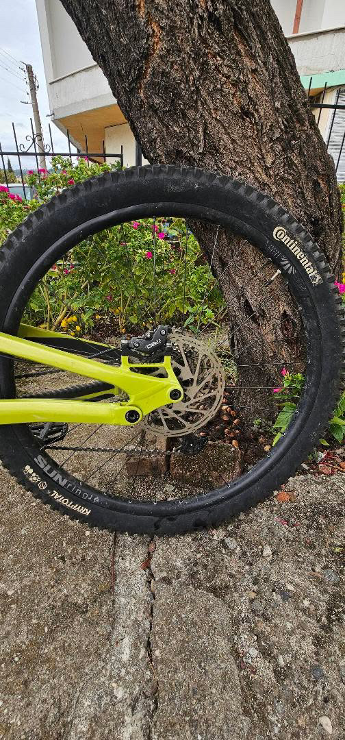 Bike view 9