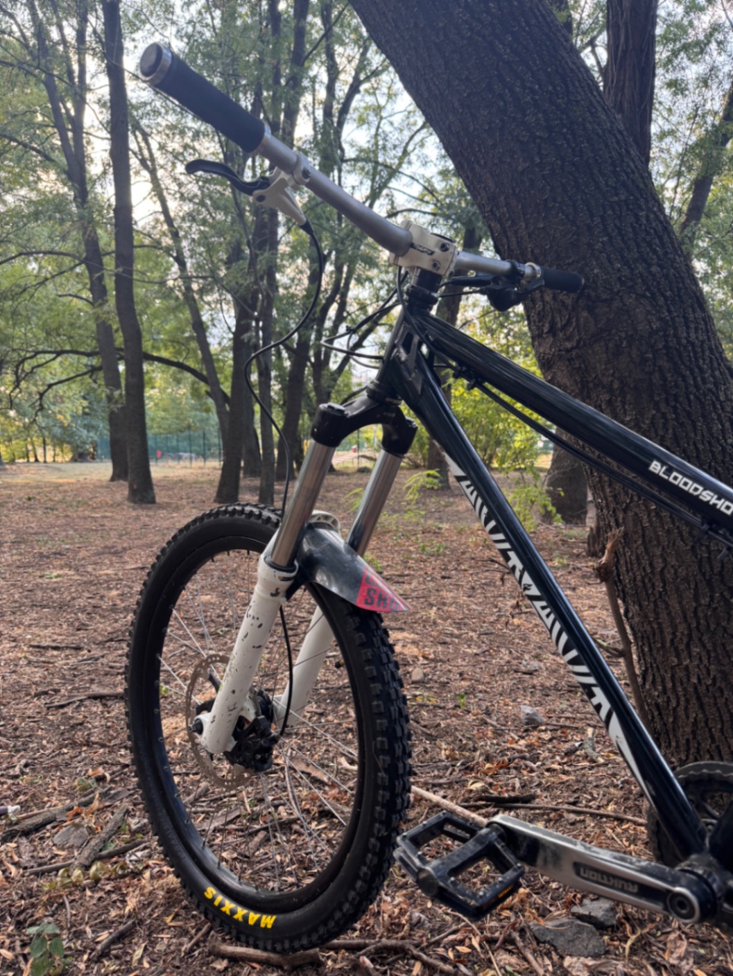 Bike view 7