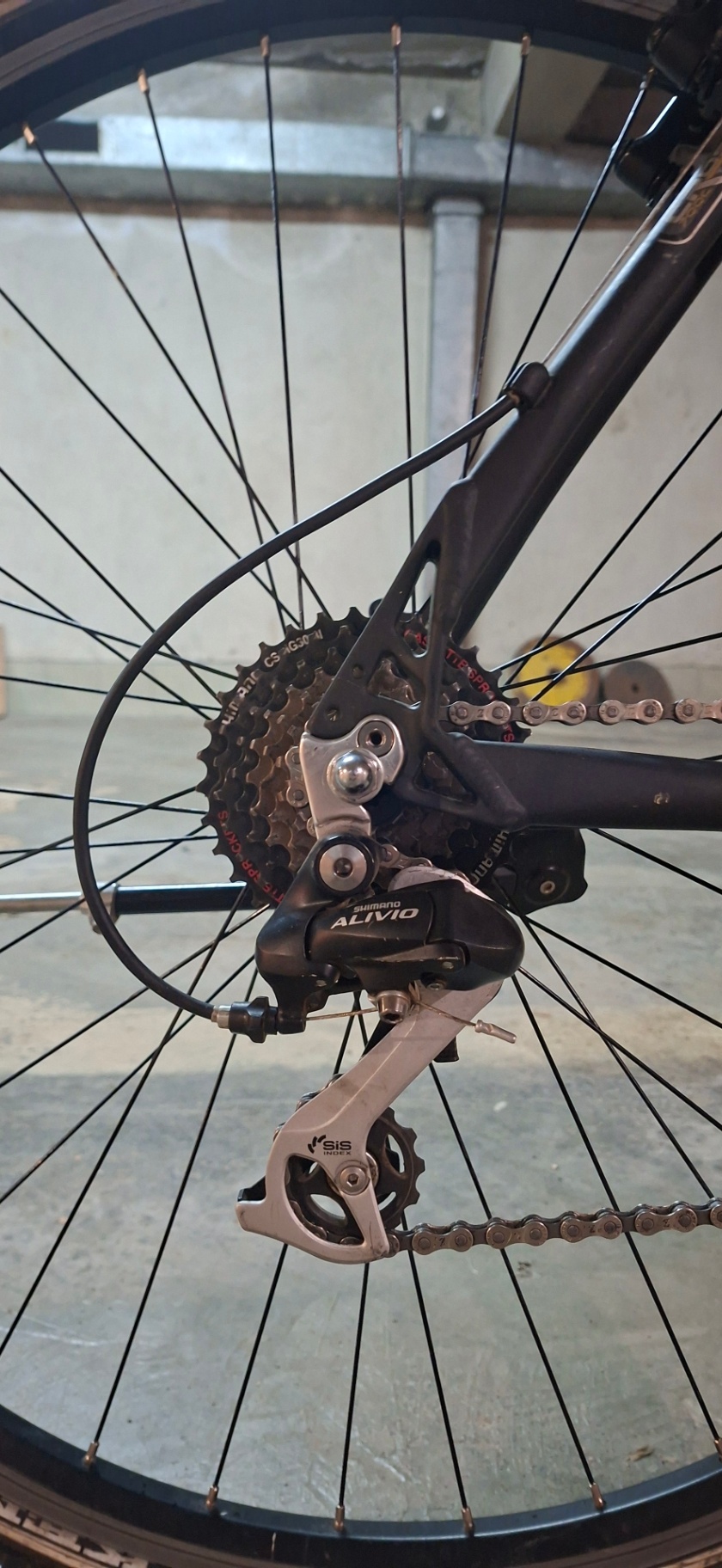 Bike view 11