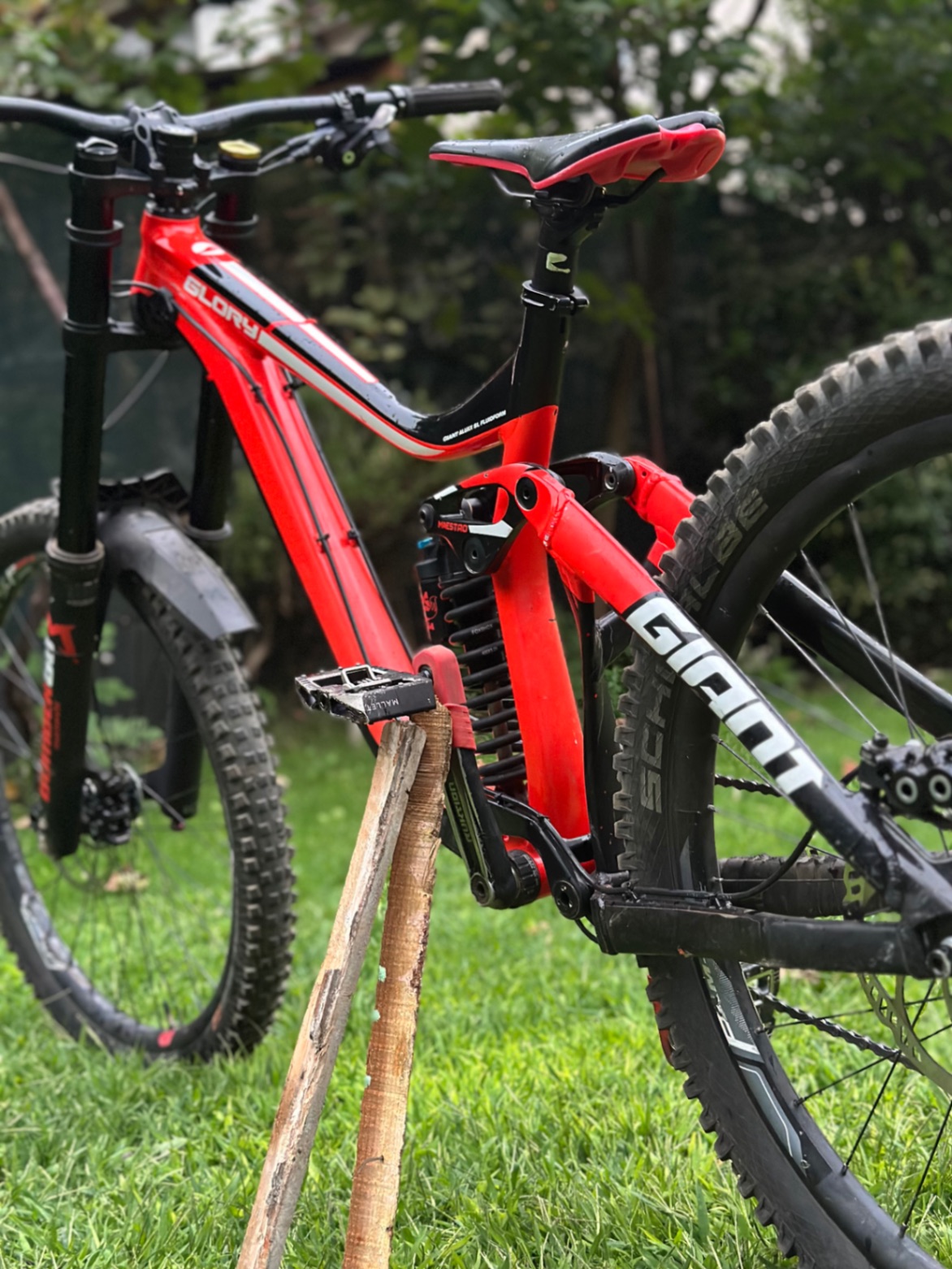 Bike view 12