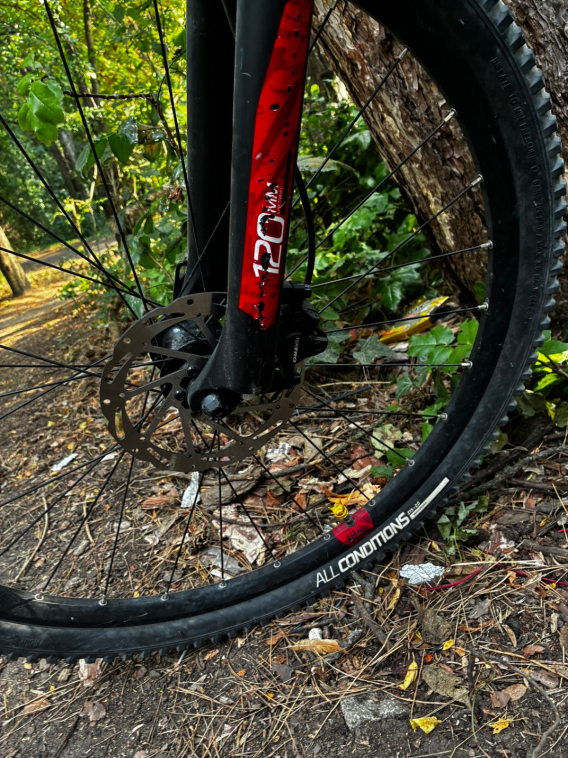 Bike view 4