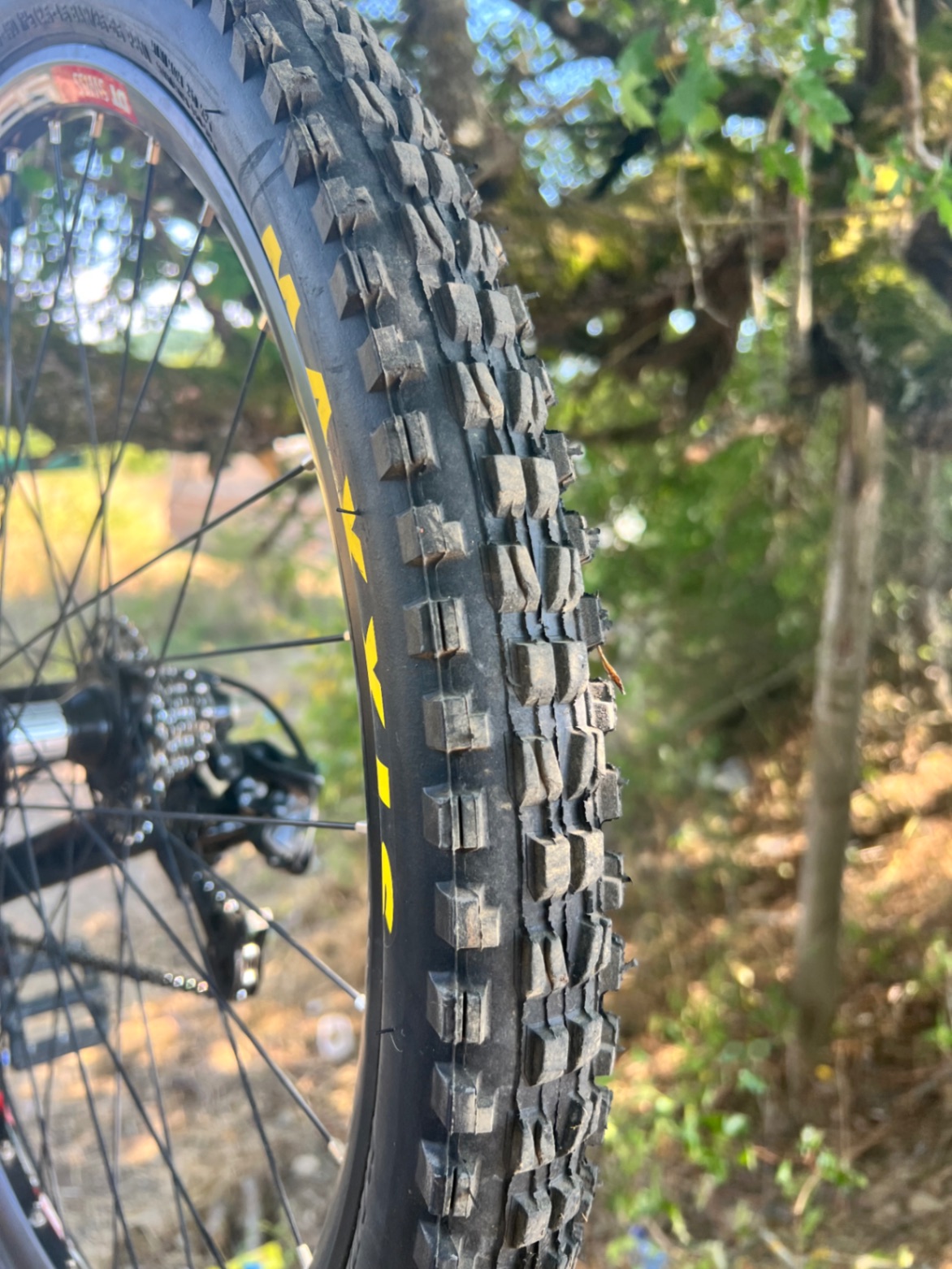 Bike view 9