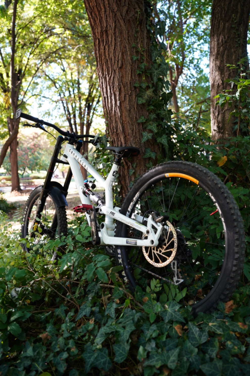 Bike view 5