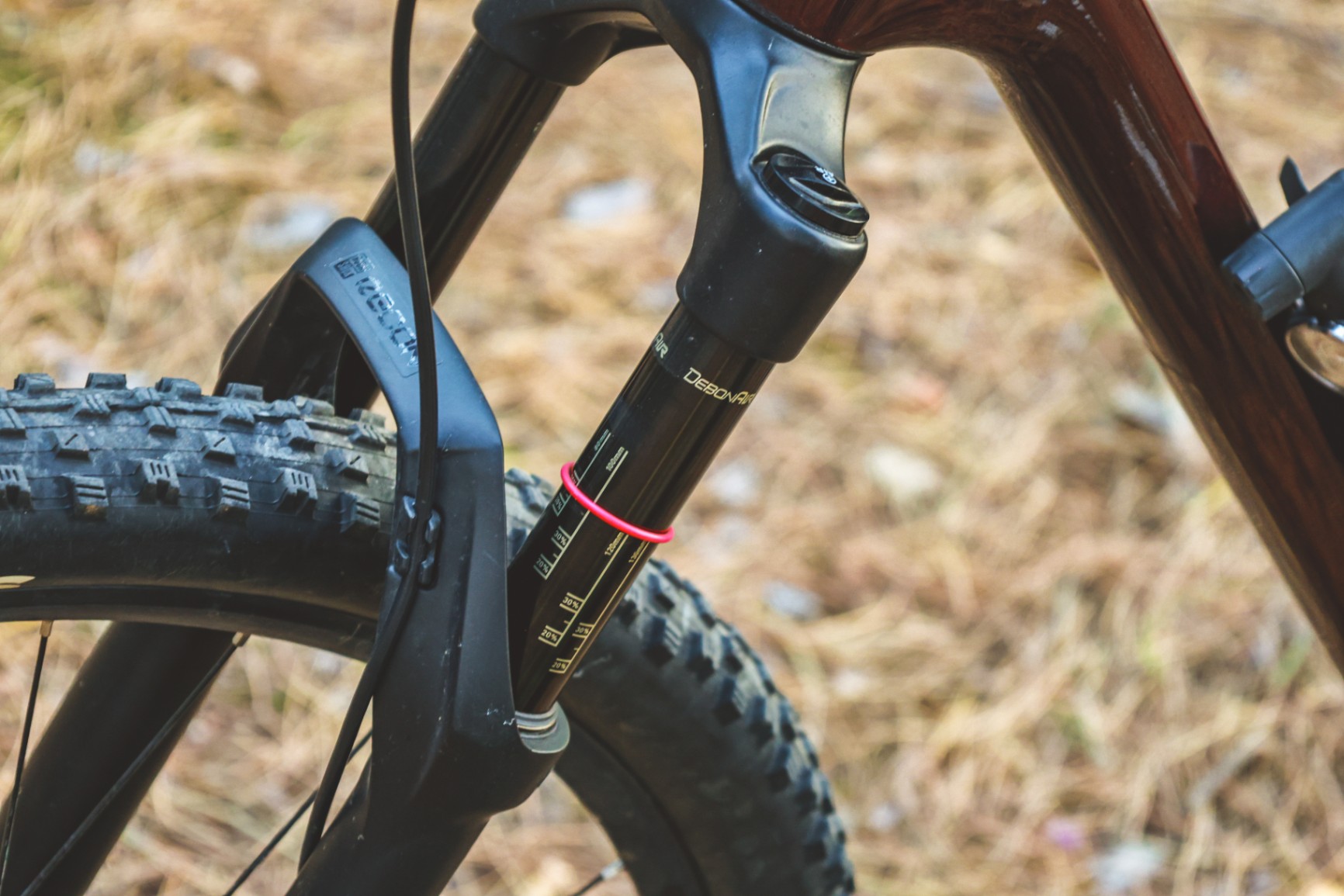 Bike view 5