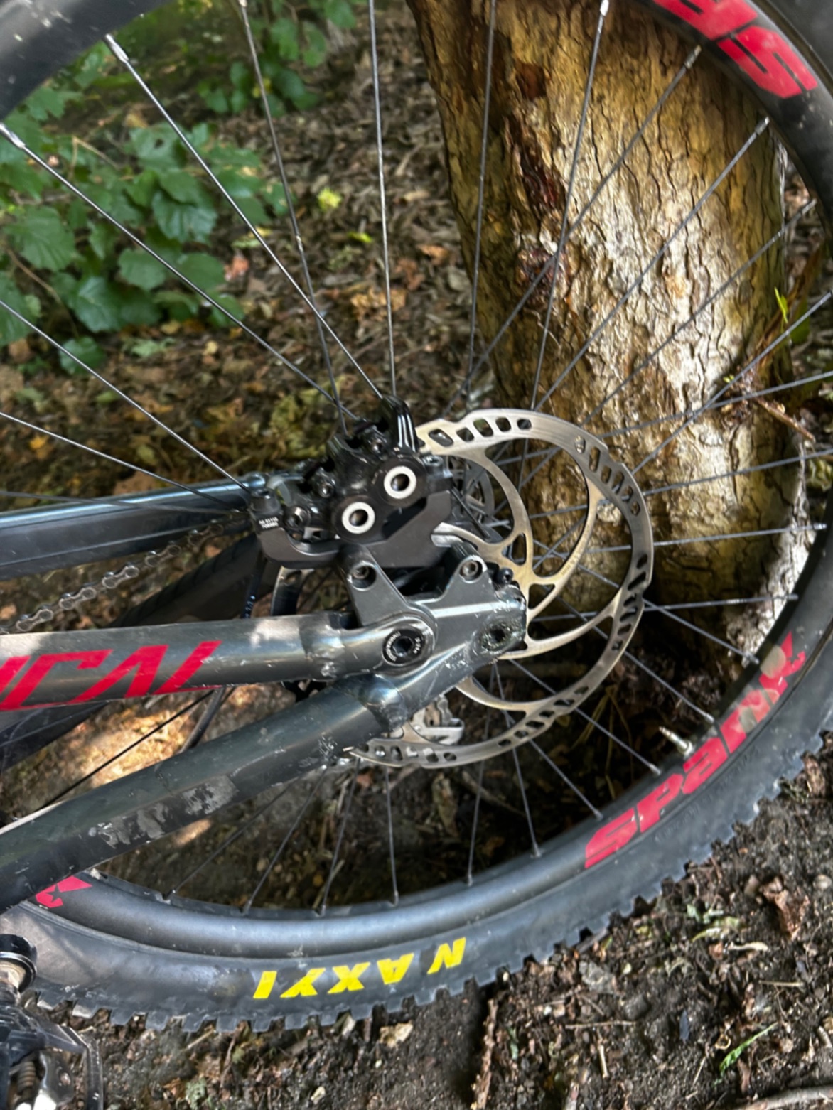 Bike view 5