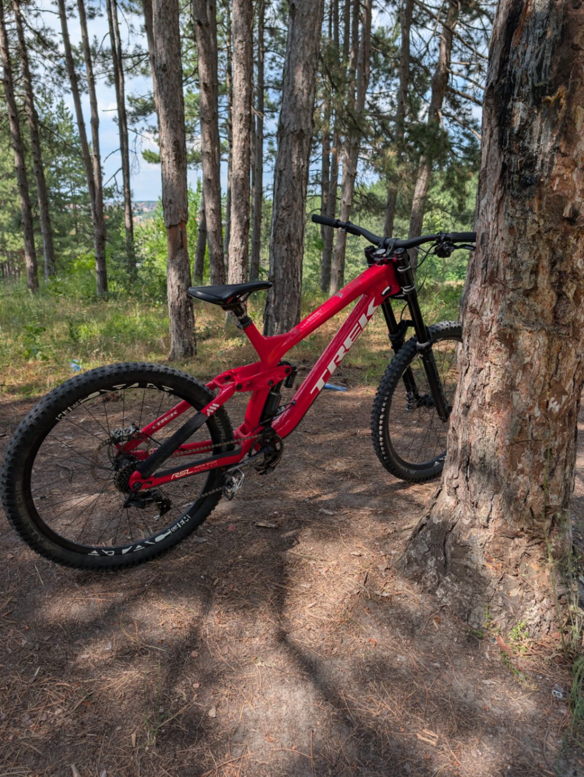 Trek Session 9.9 view 3