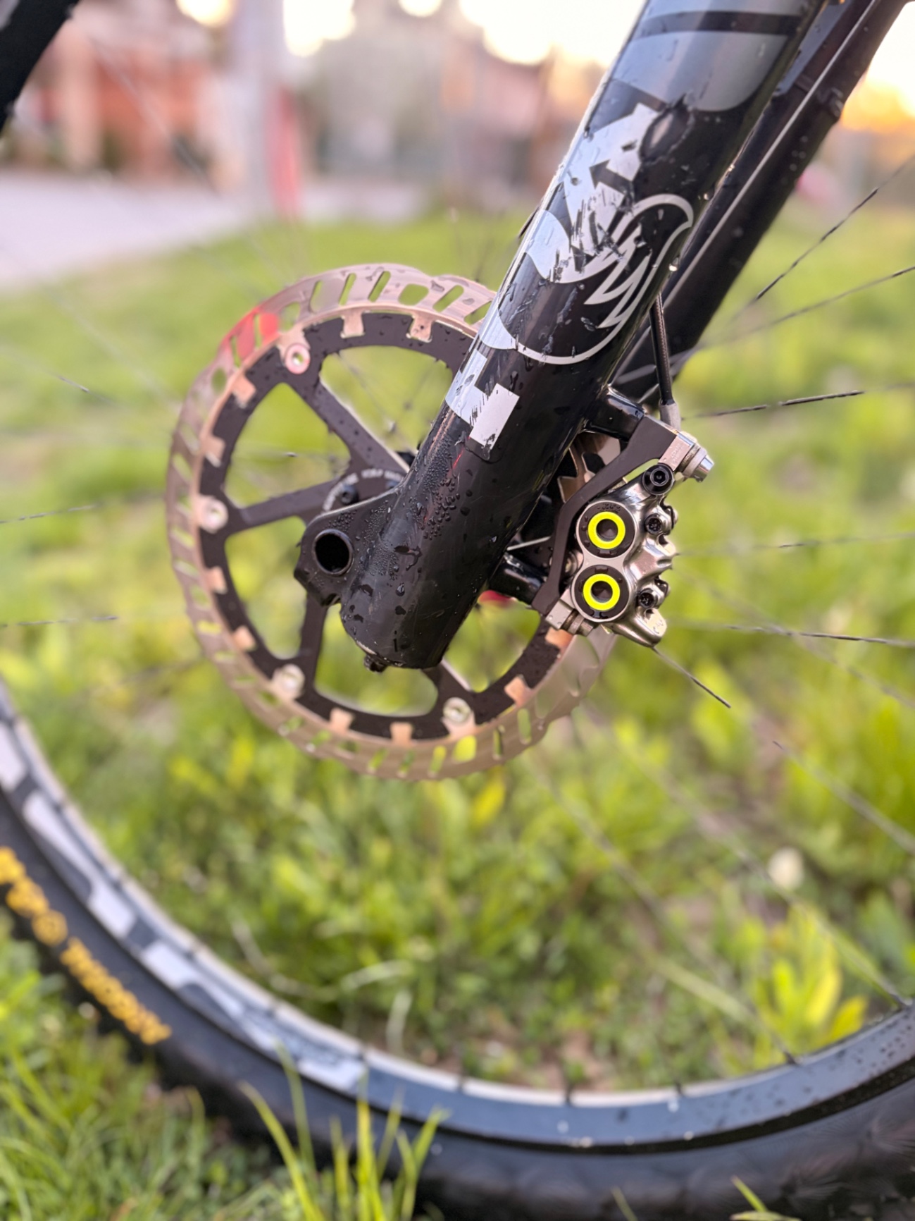 Bike view 9