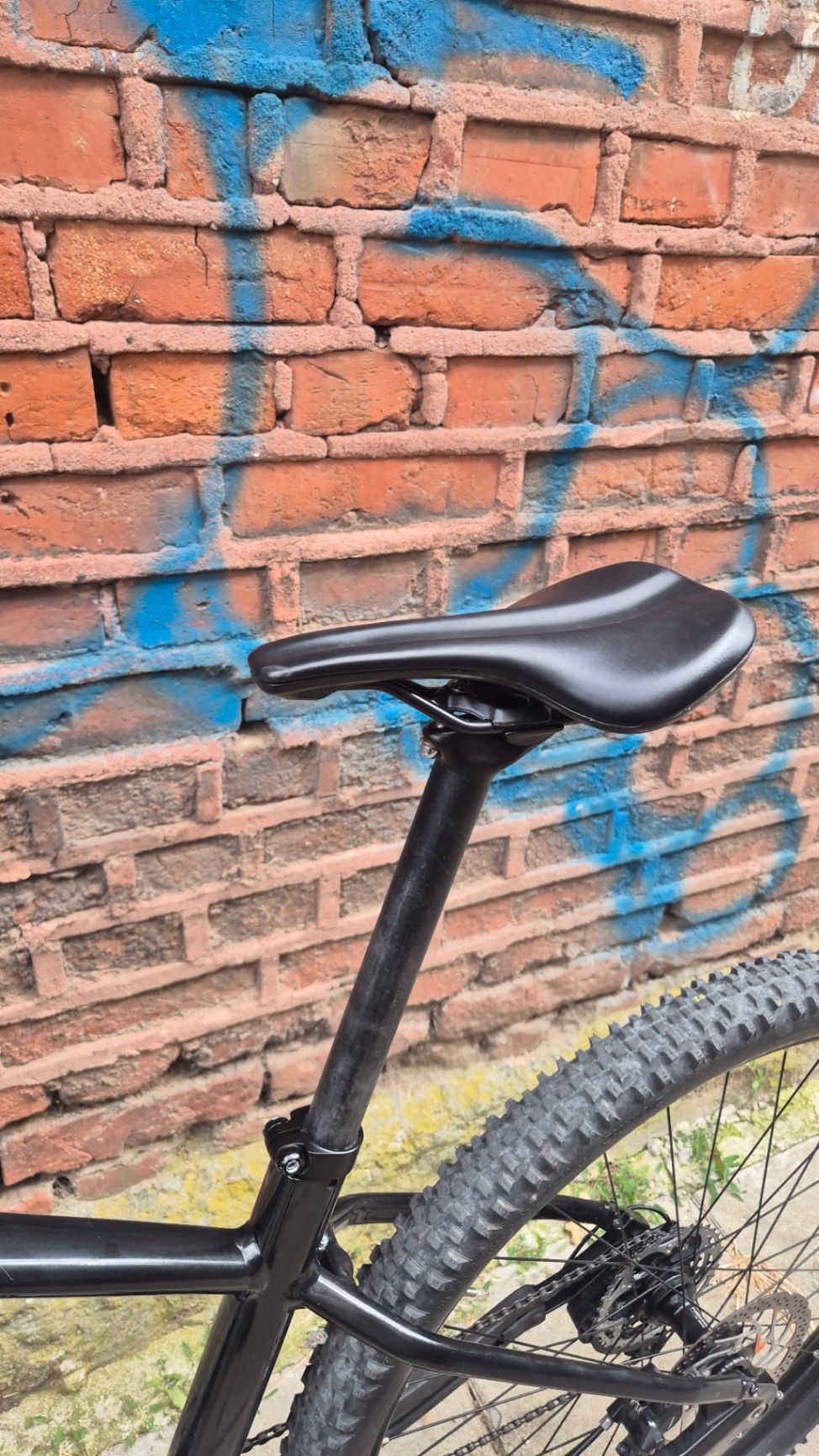 Bike view 7