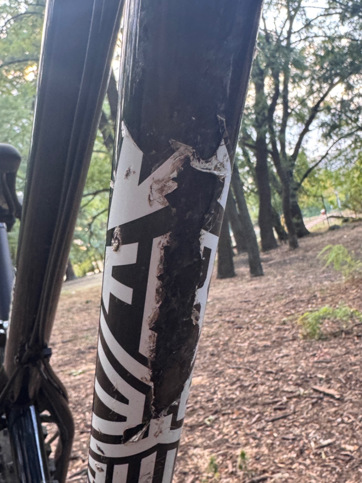 Bike view 3