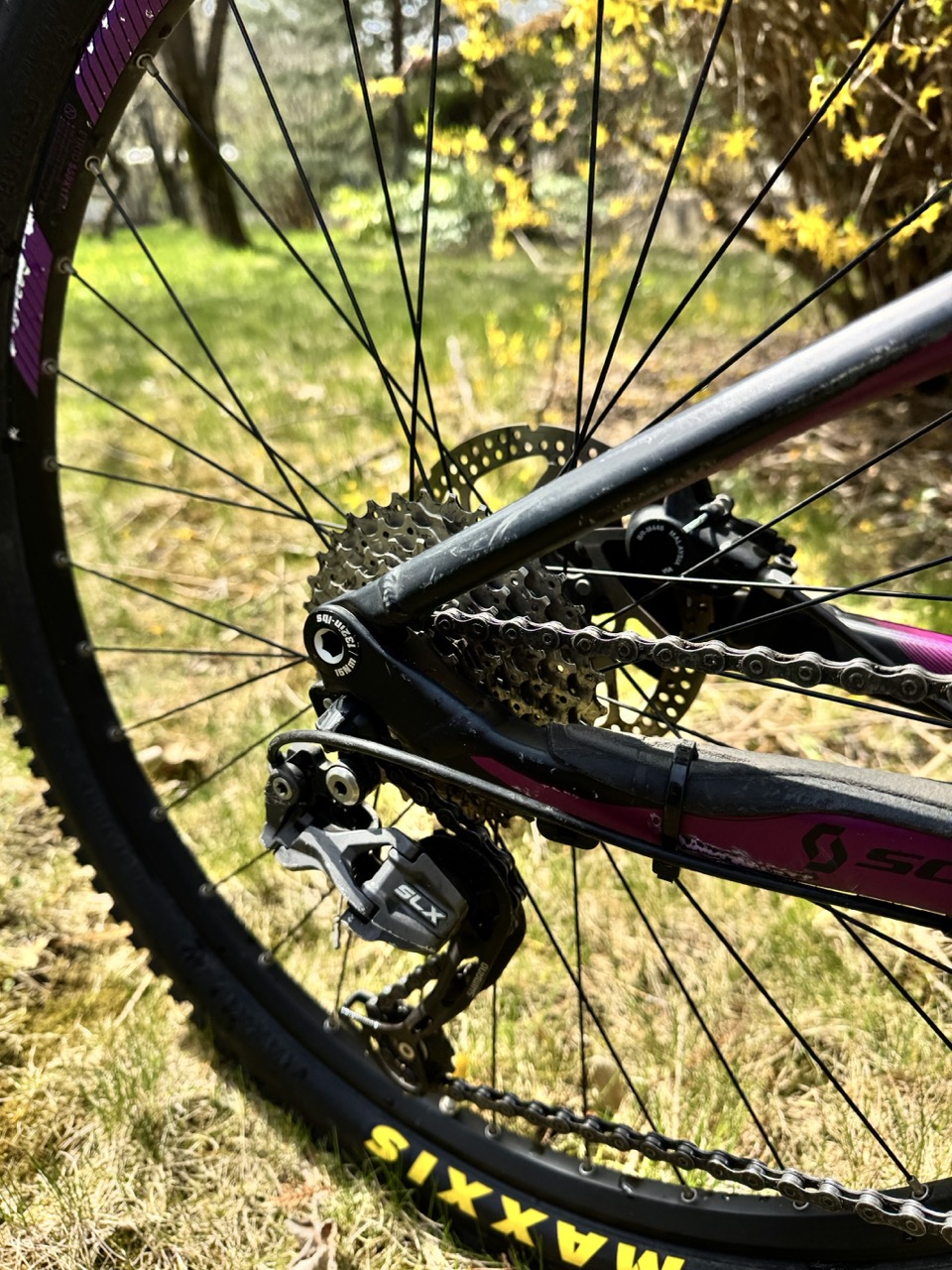 Bike view 11