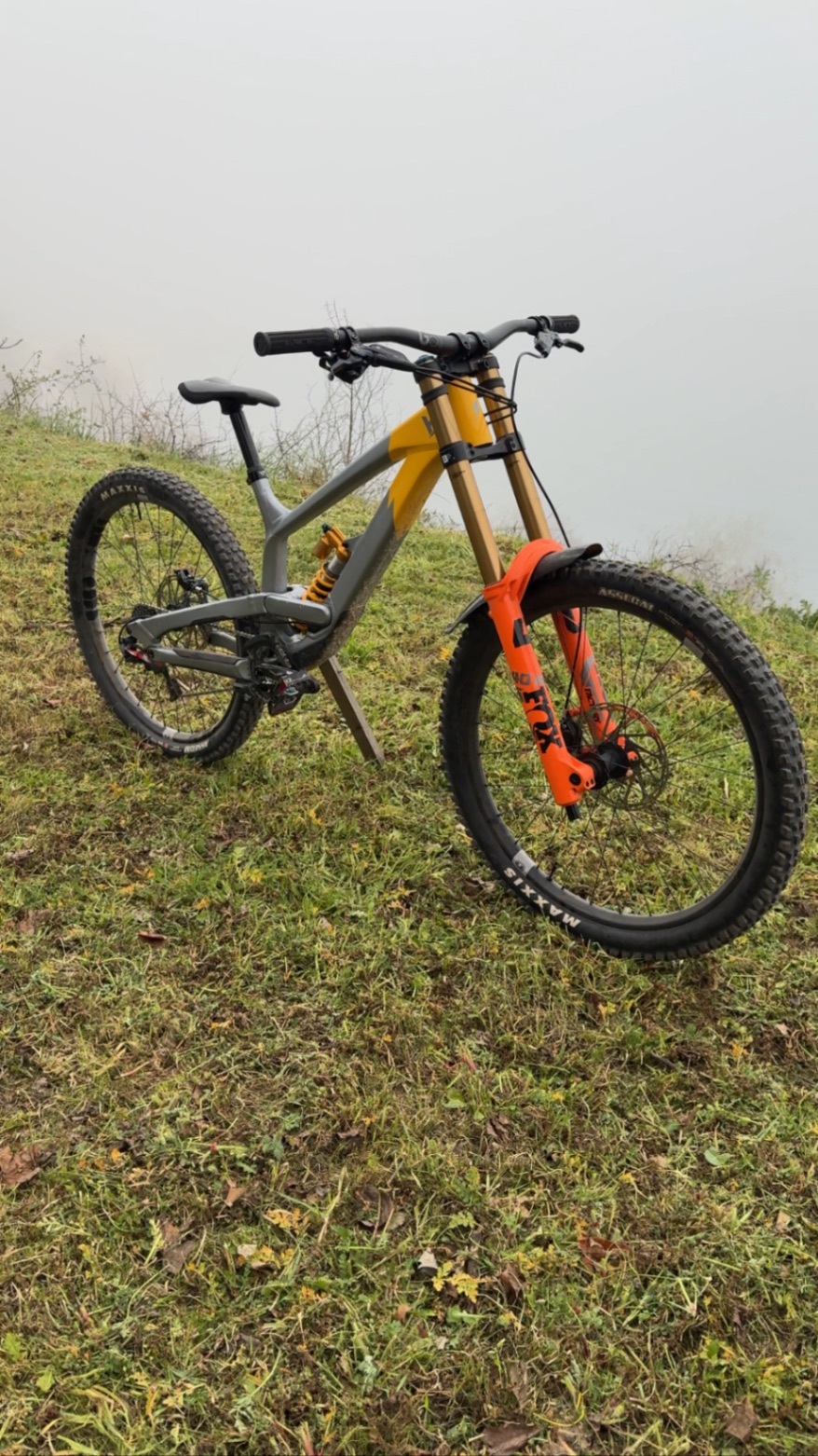 Bike view 5