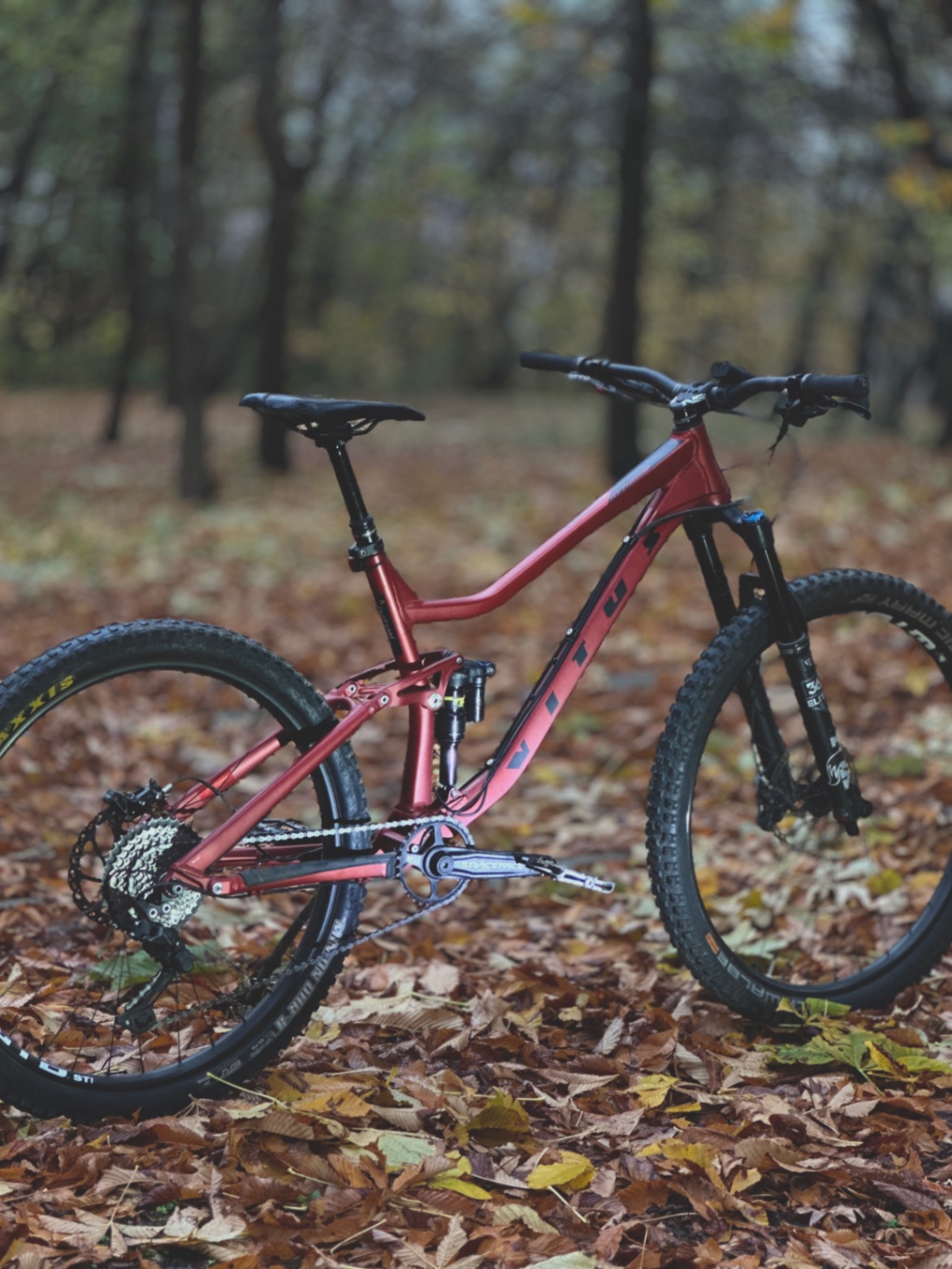 Bike view 4