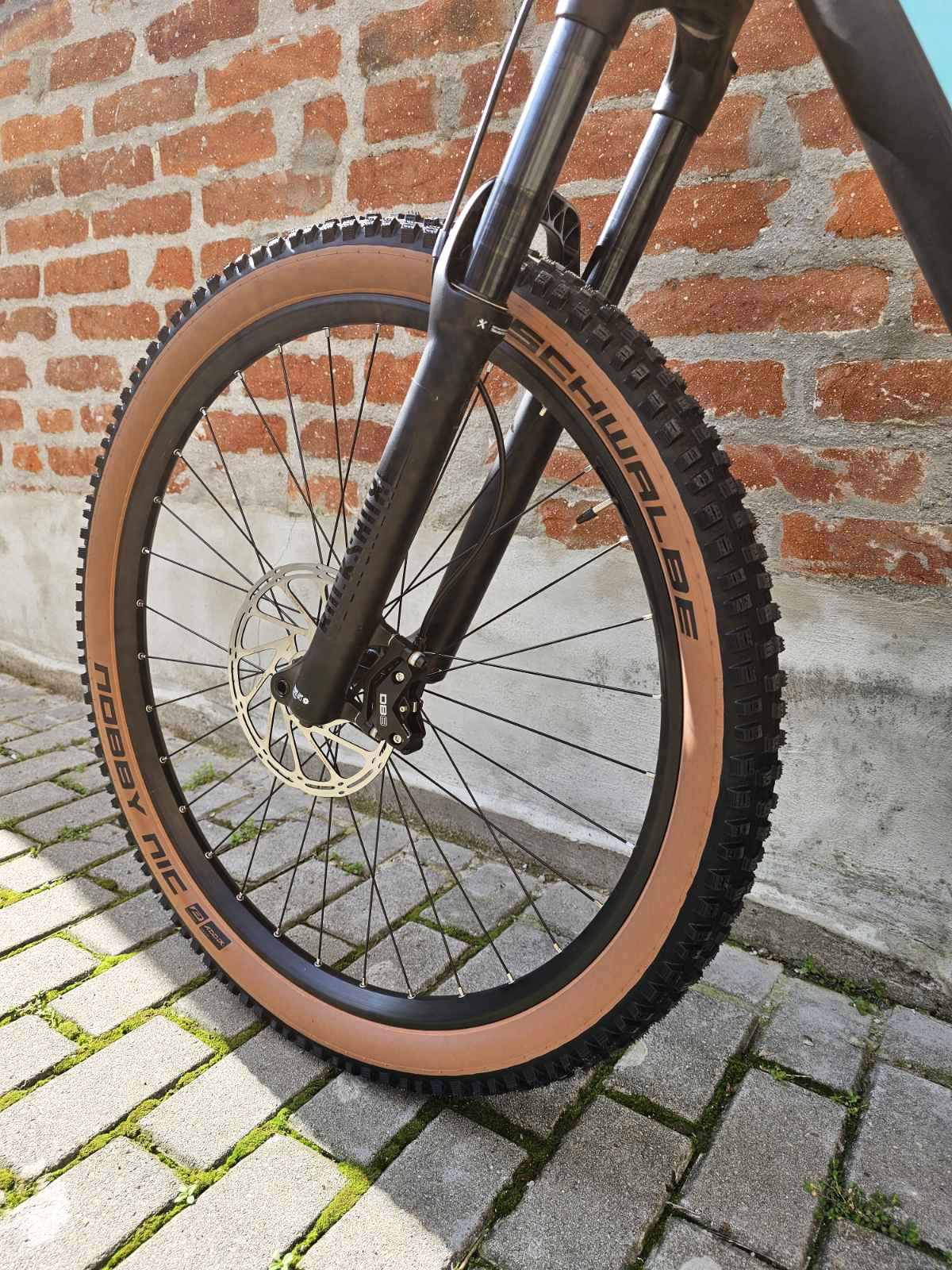 Bike view 11