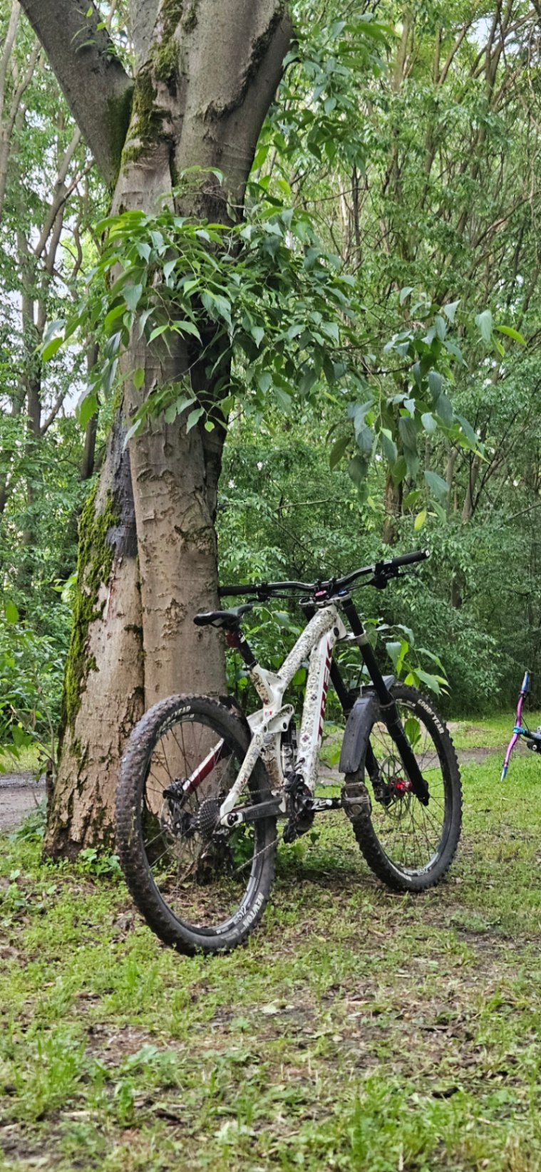 Bike view 5