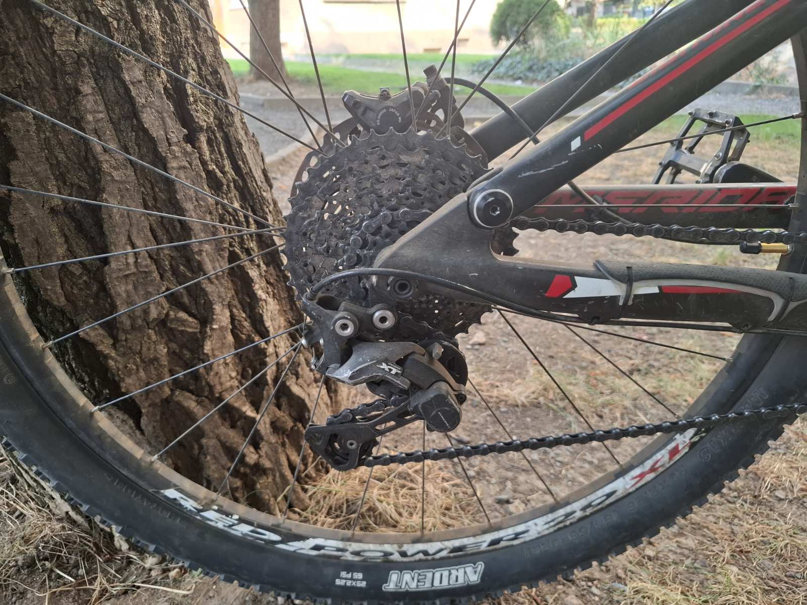 Bike view 12