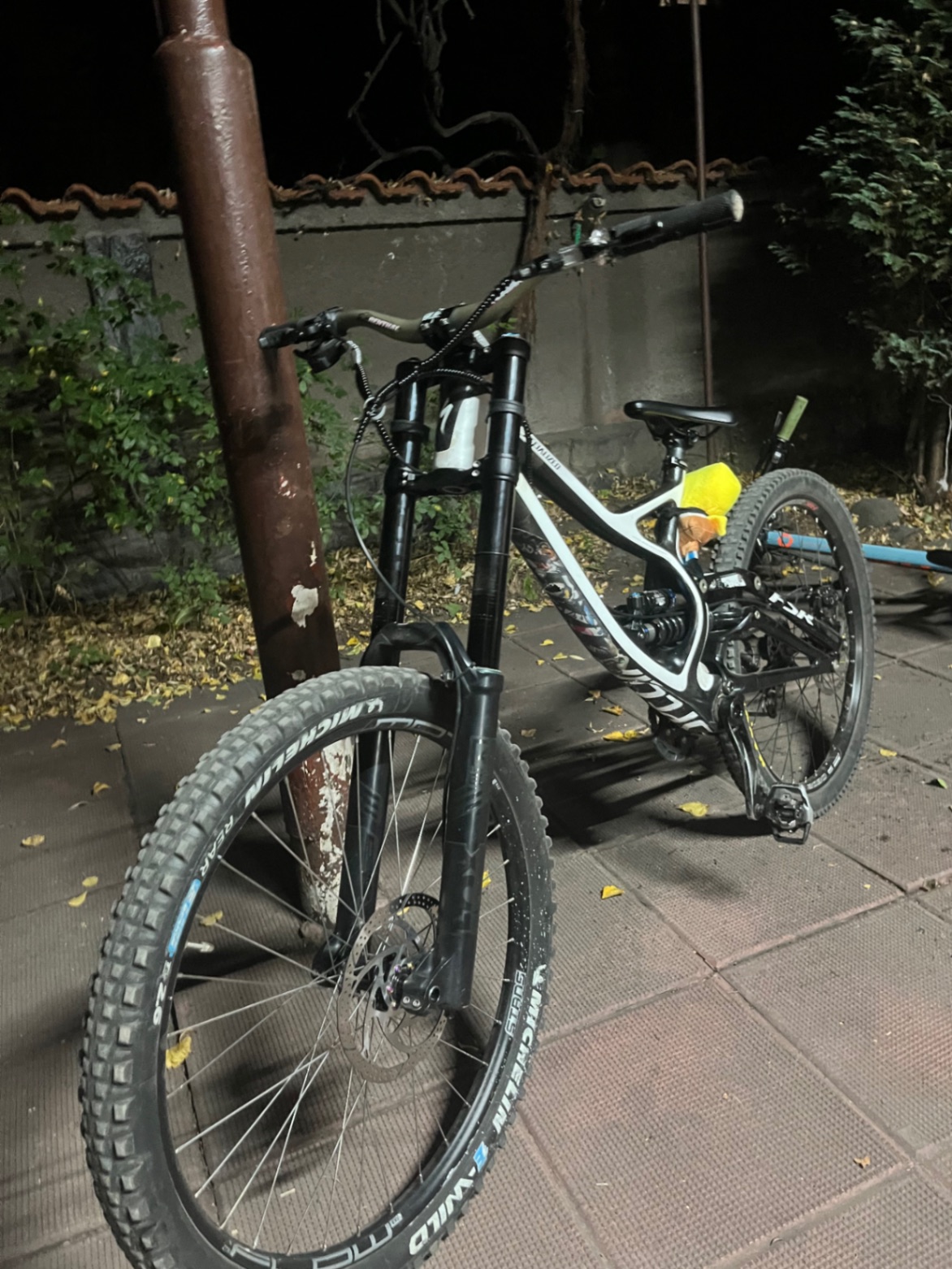 Bike view 9