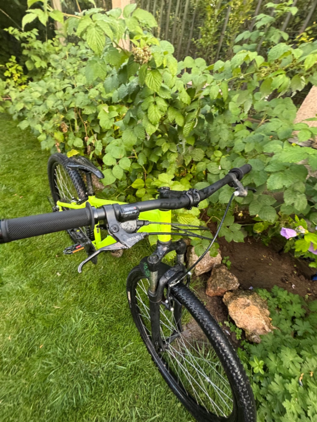 Bike view 2