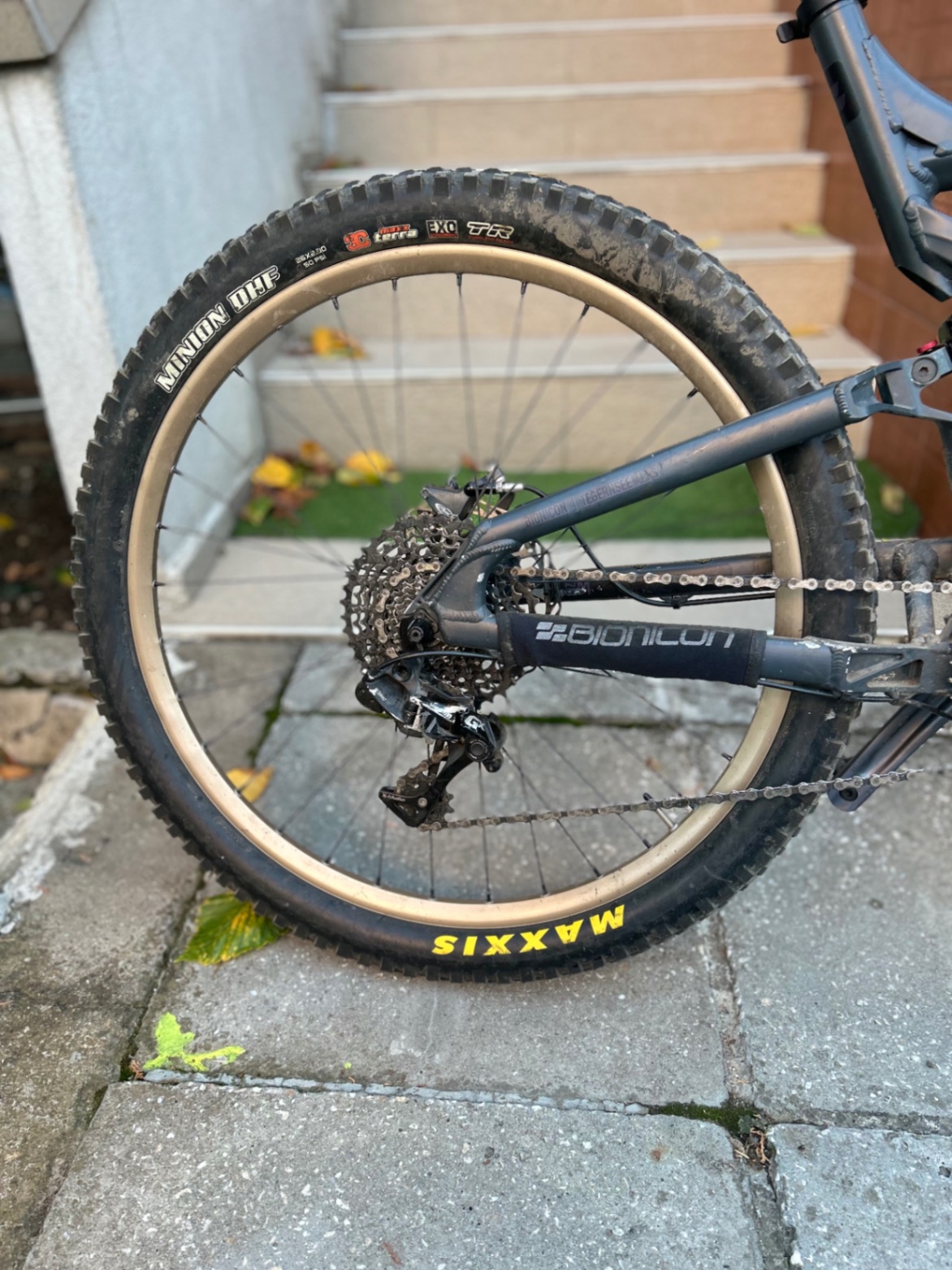 Bike view 8