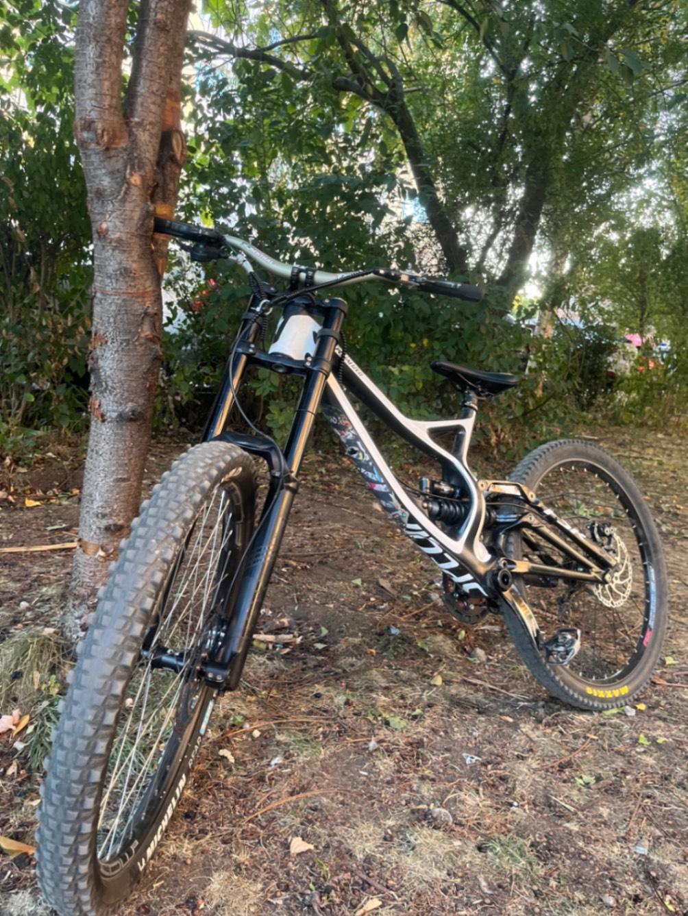 Bike view 6