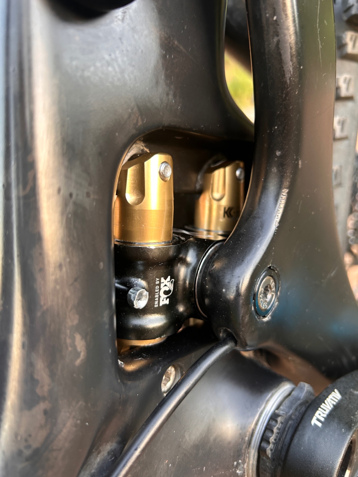 Bike view 11