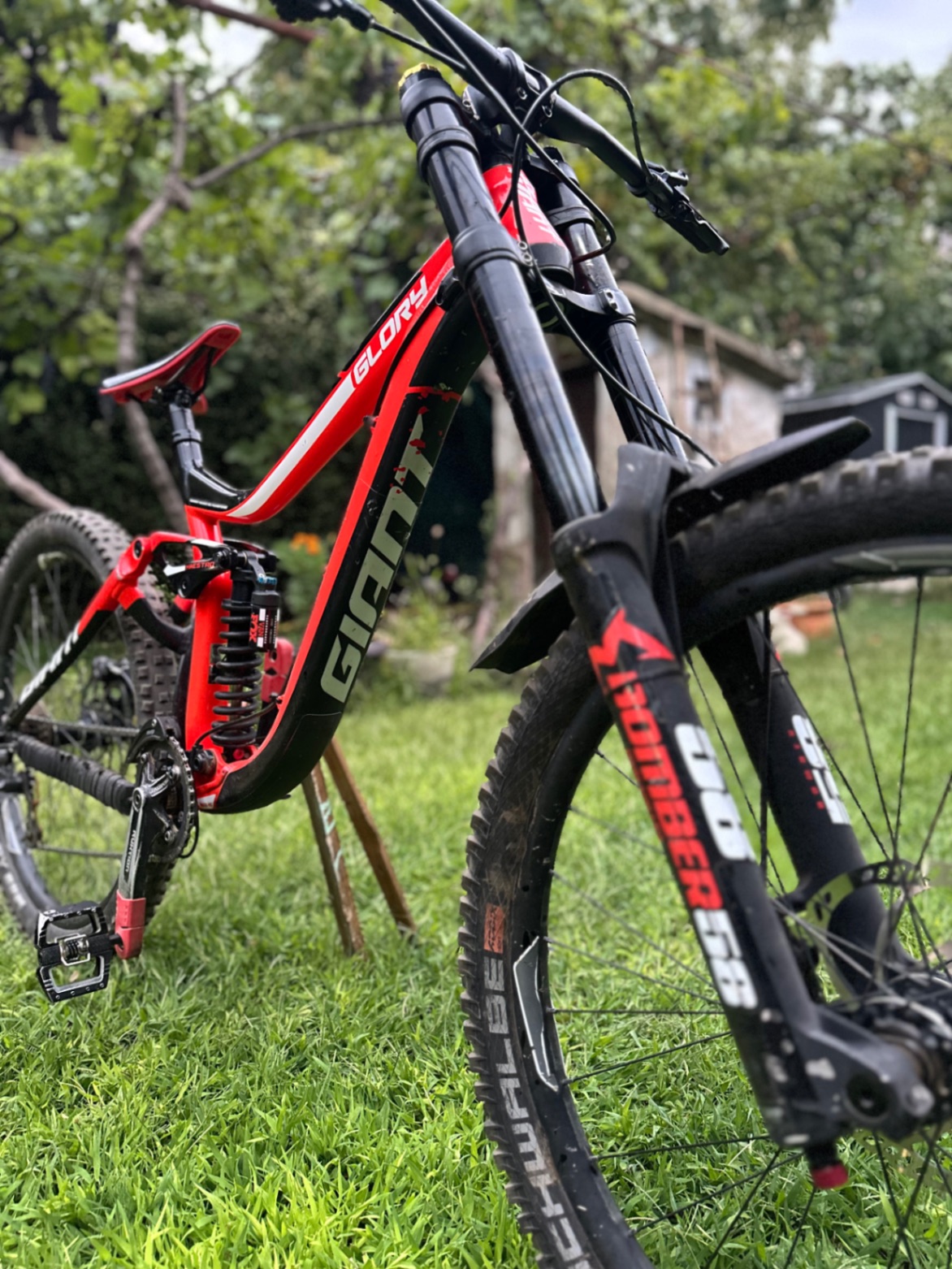 Bike view 7