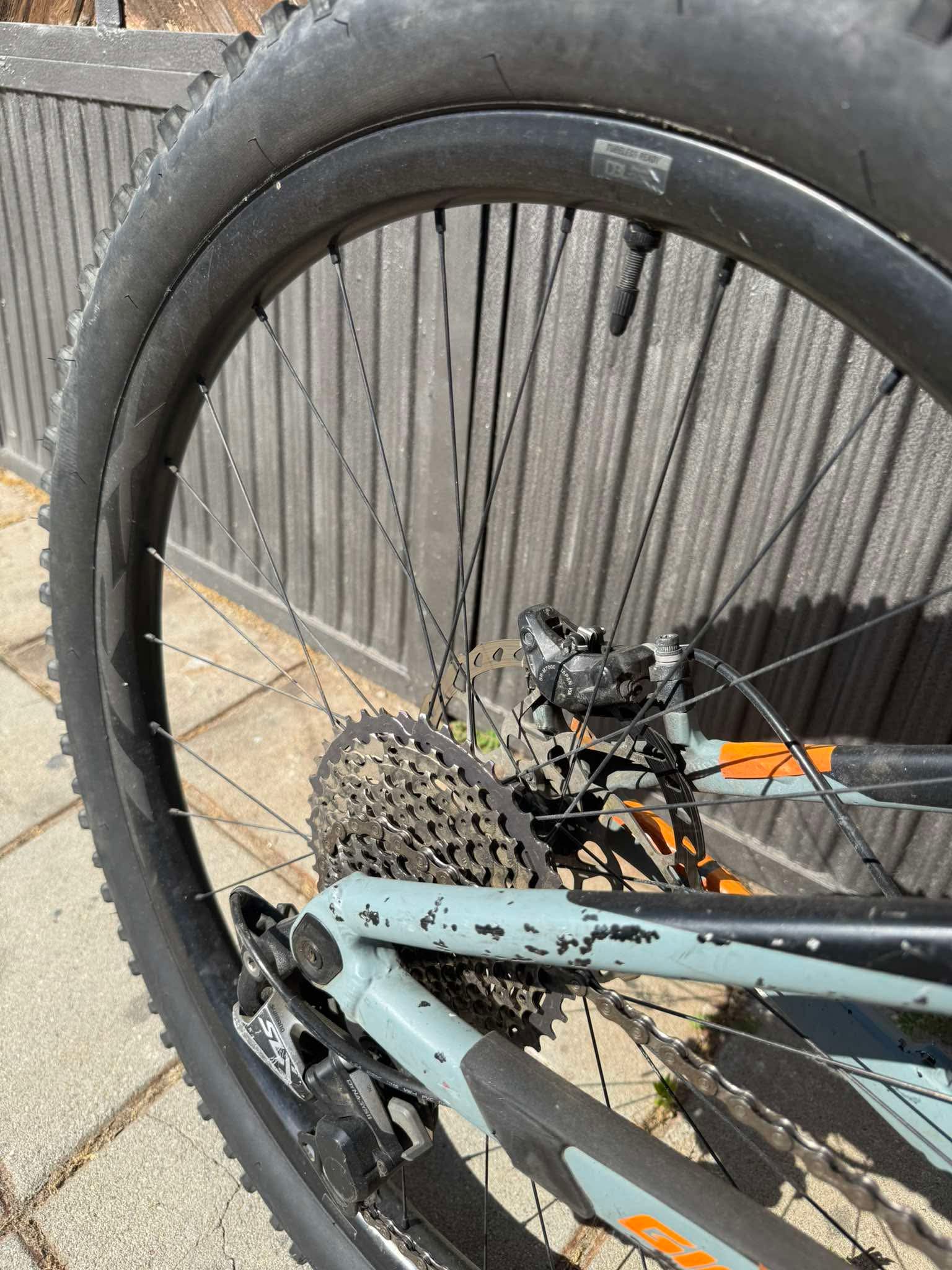 Bike view 11
