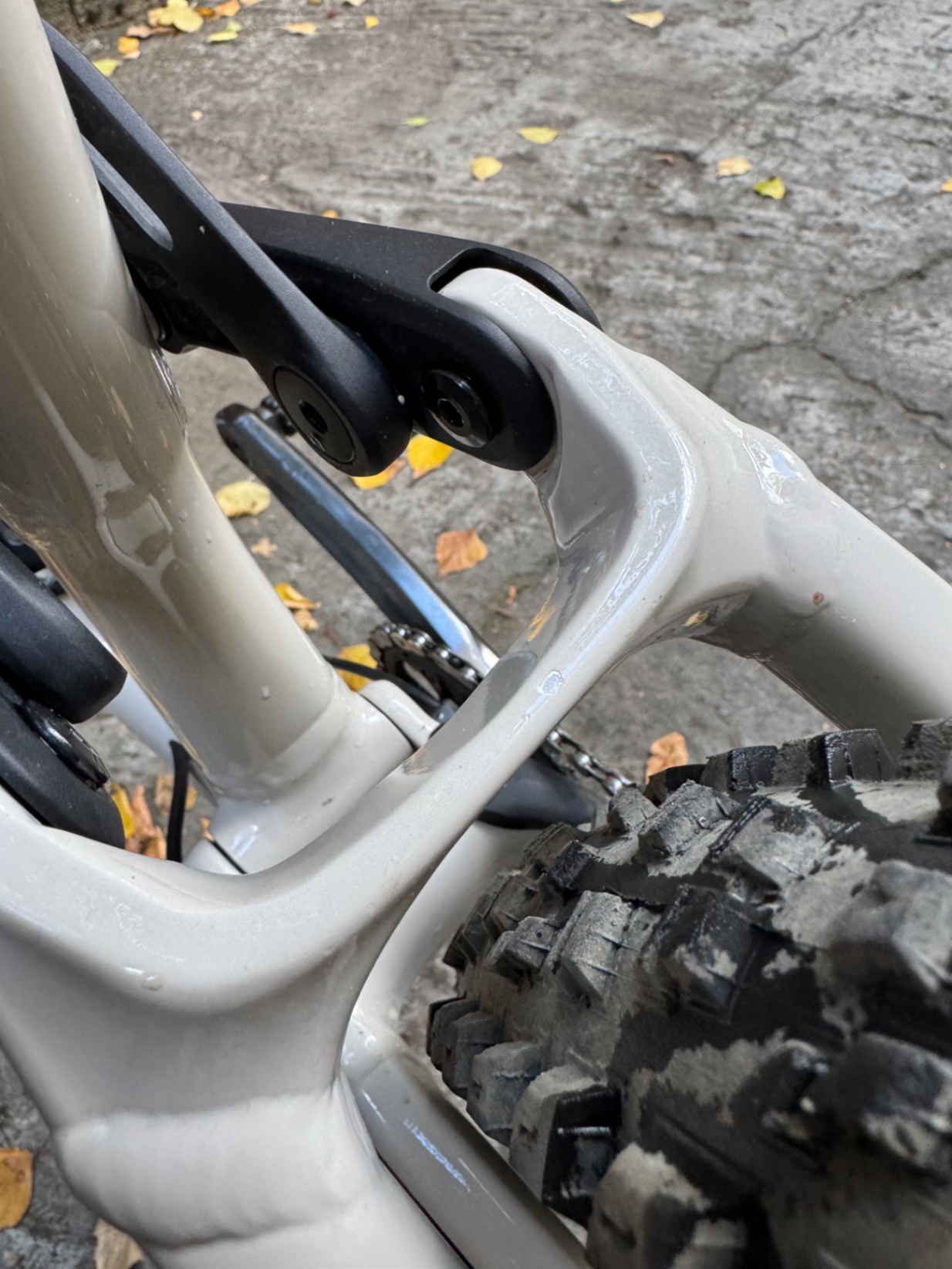 Bike view 9