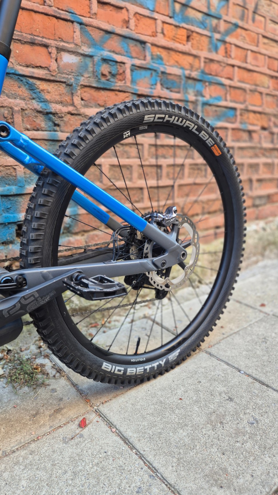 Bike view 8