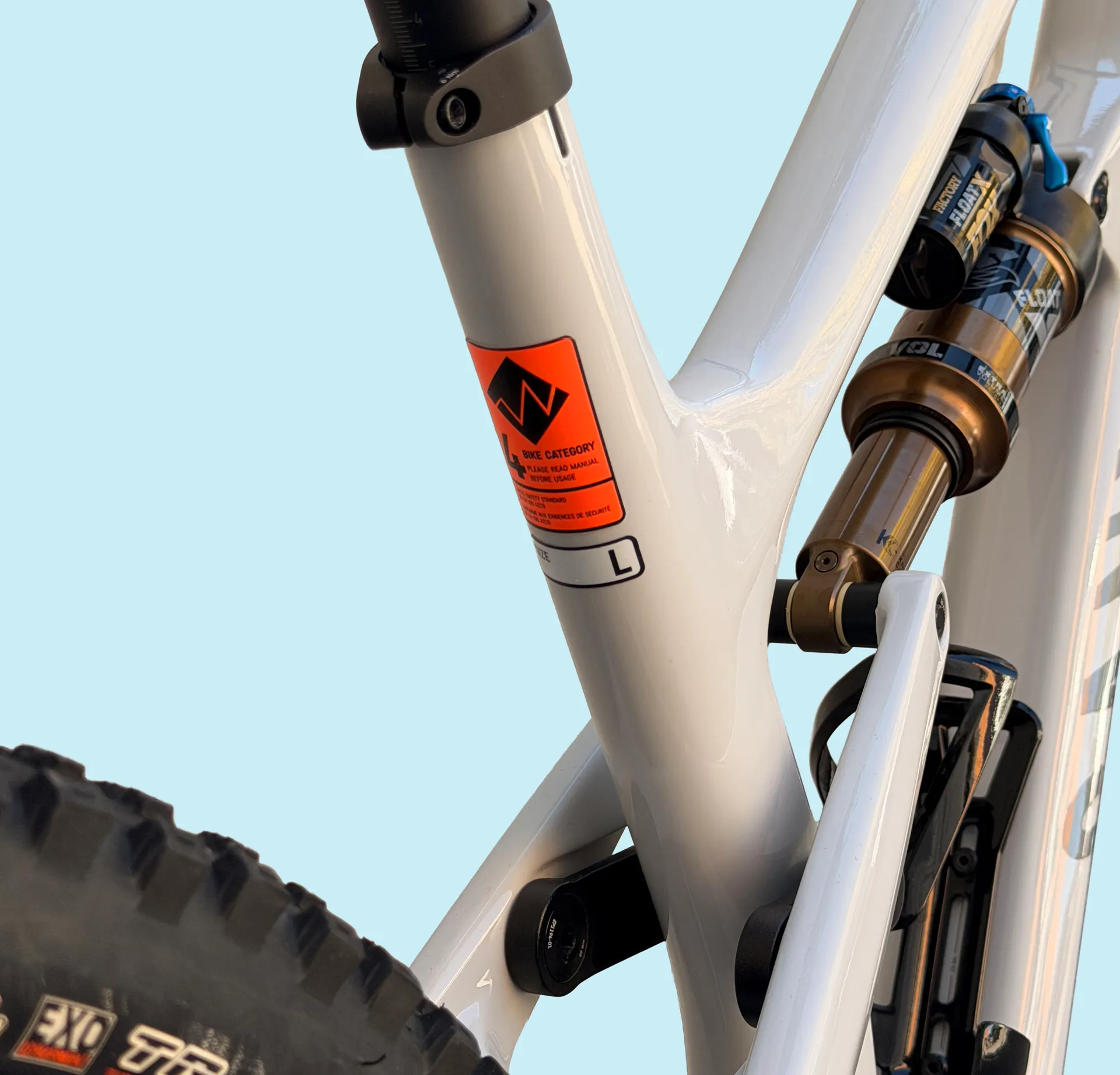 Canyon Spectral 29 CF 9.0 view 5