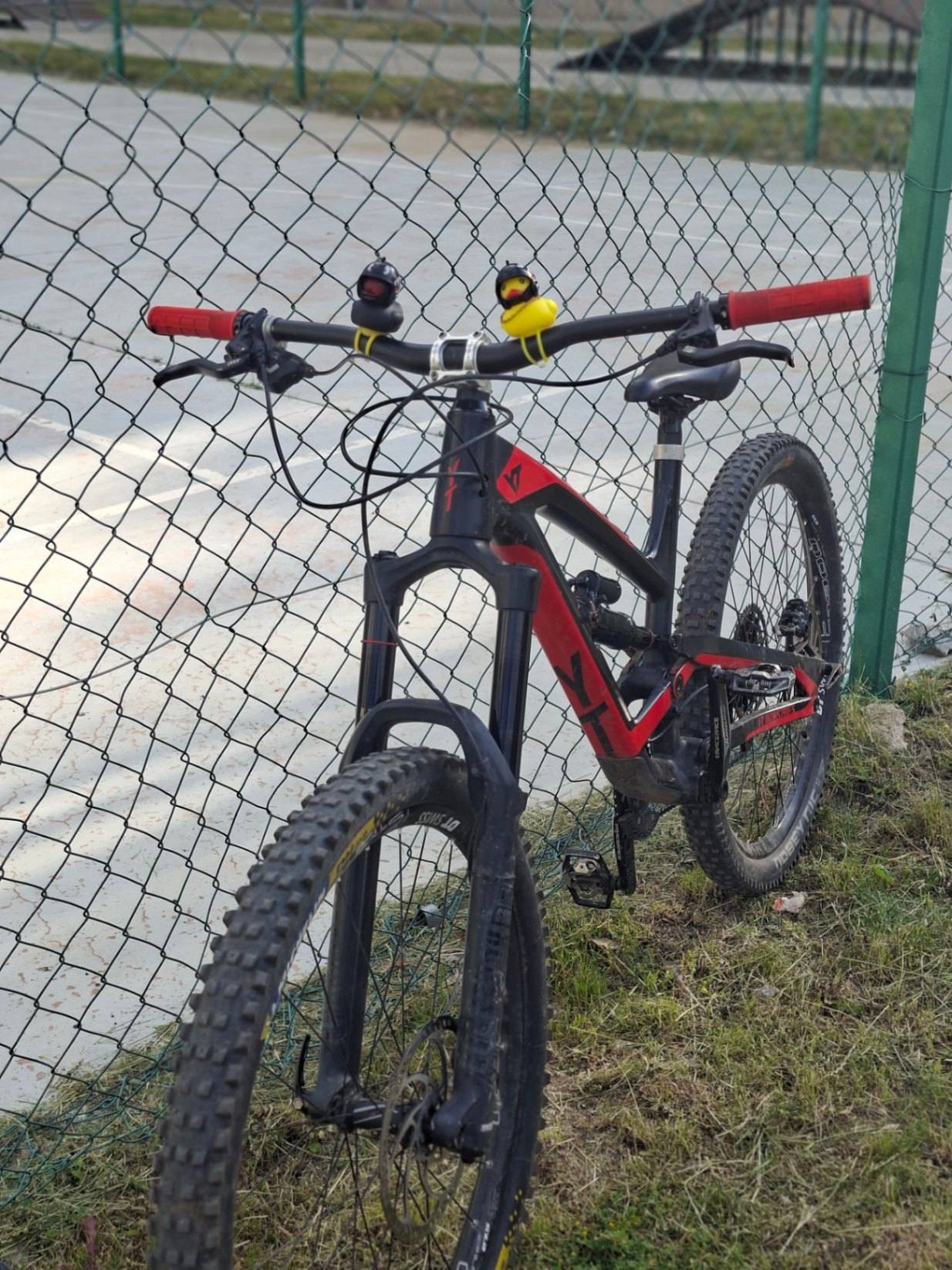 Bike view 6