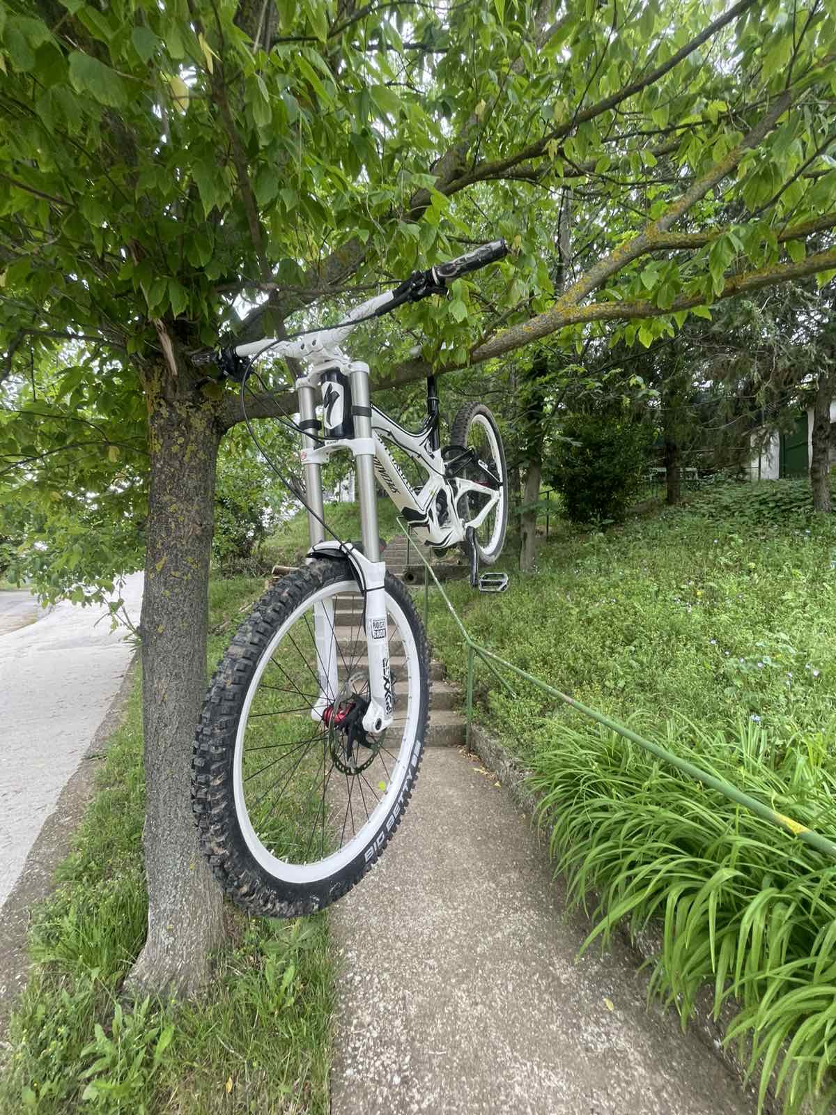 Bike view 10