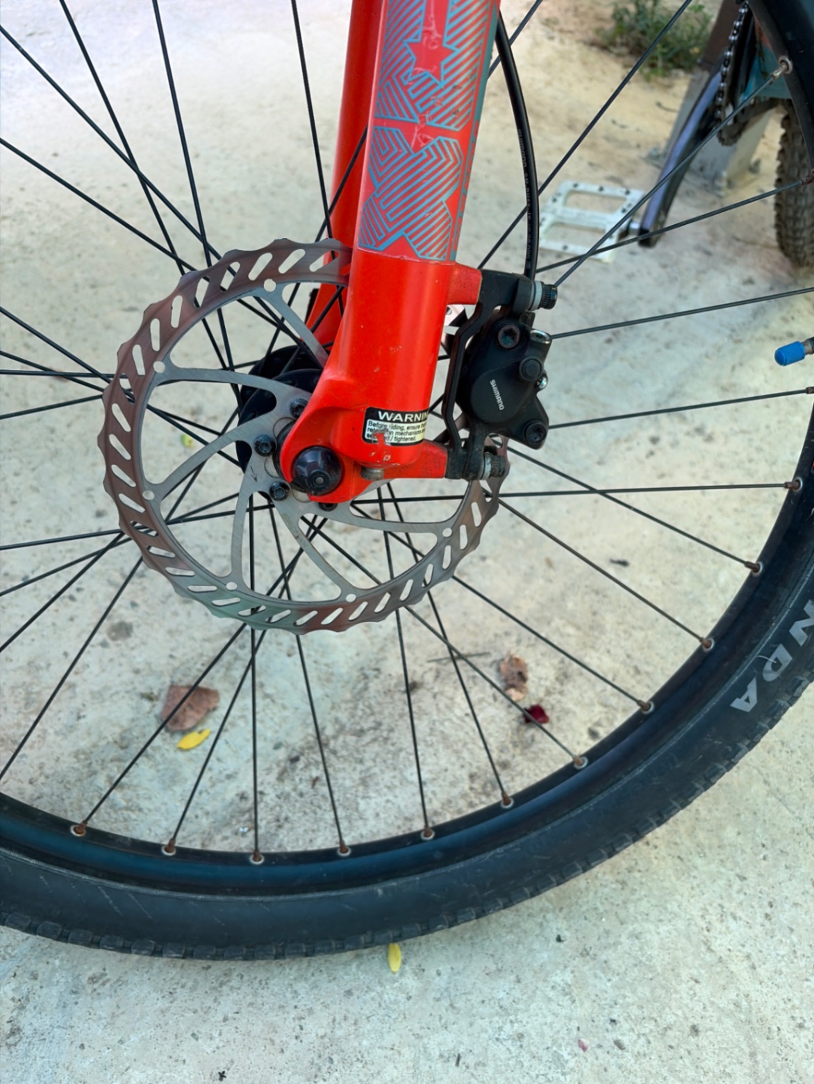 Bike view 6
