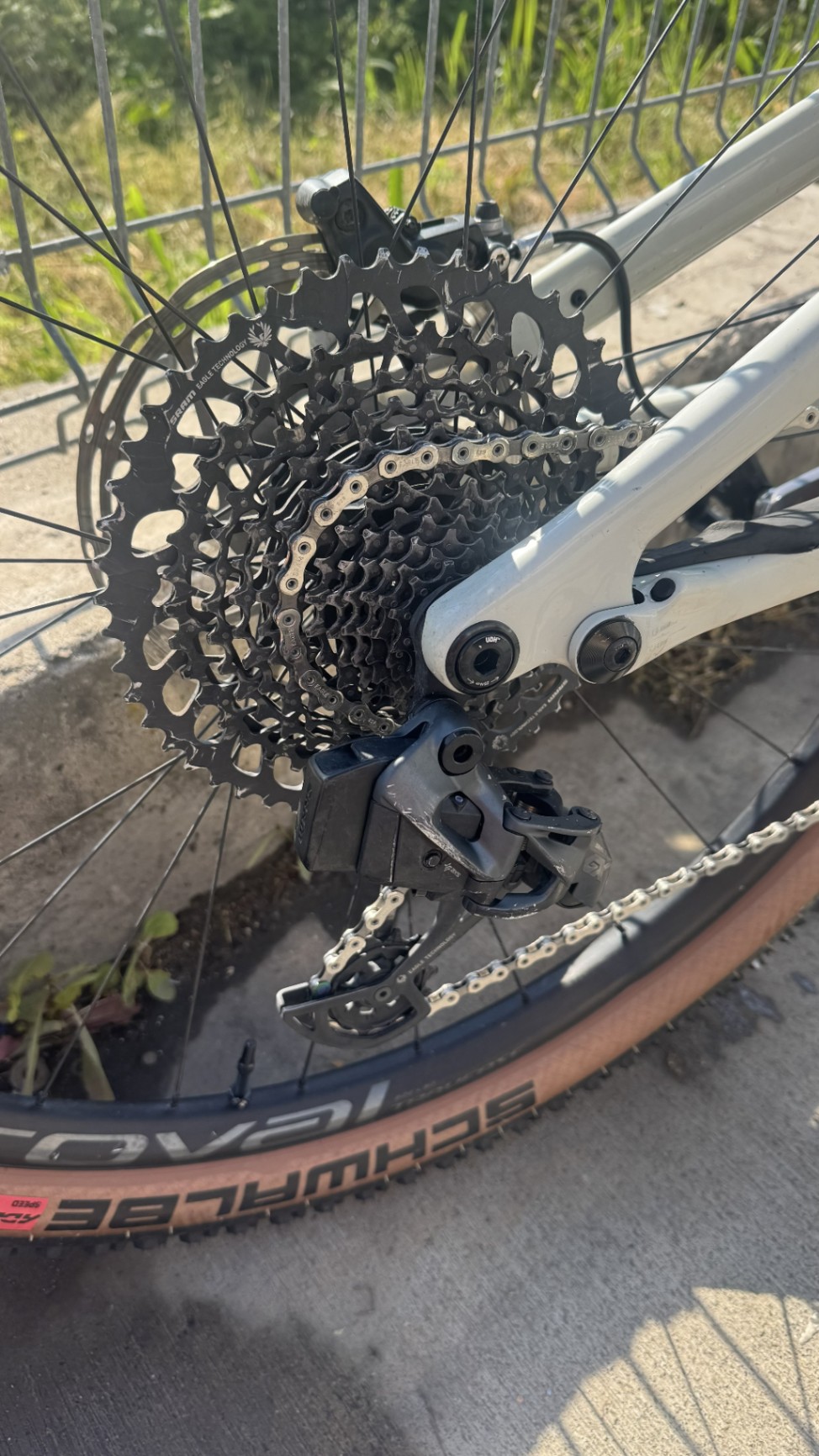 Bike view 6