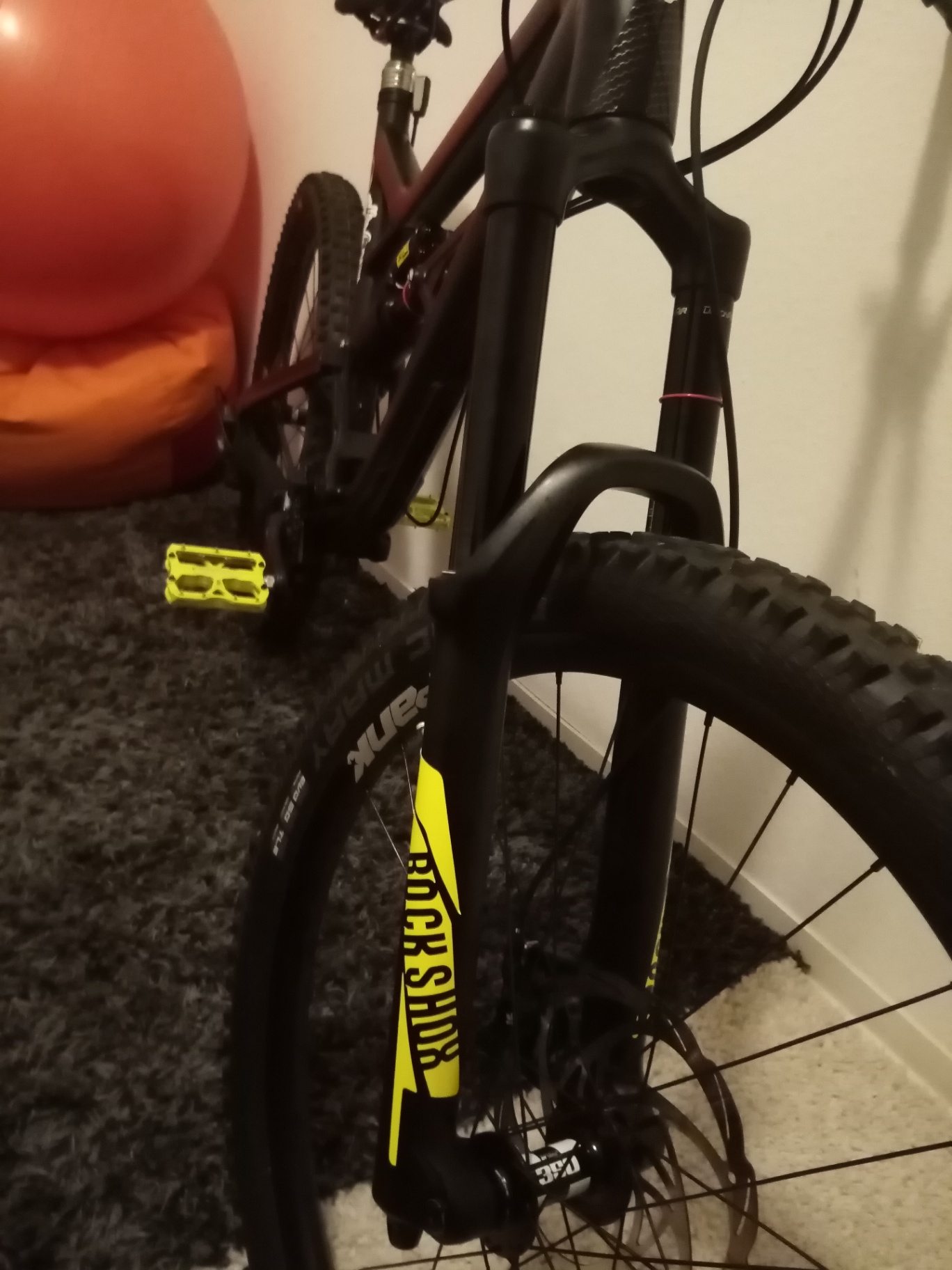 Bike view 6