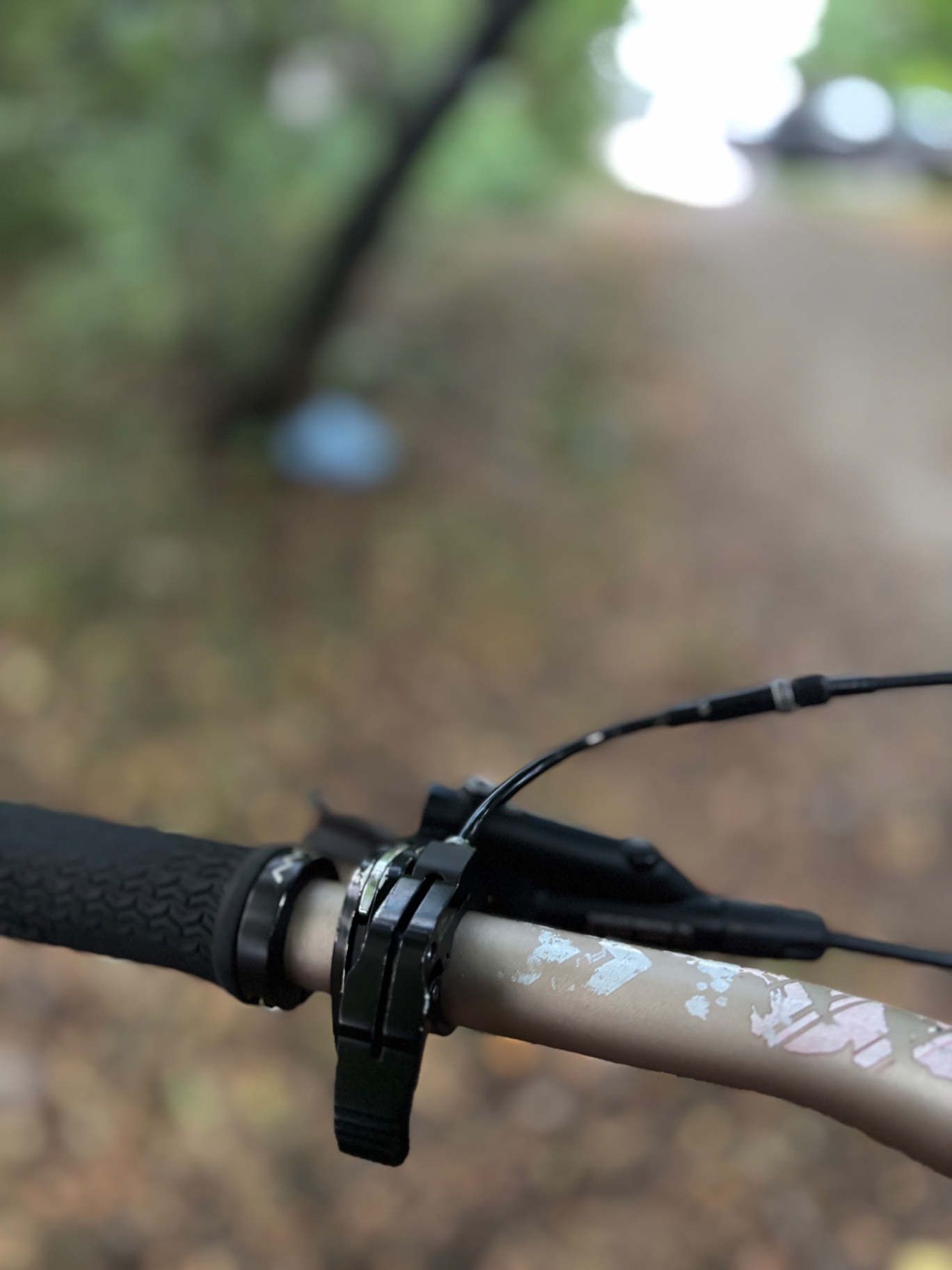 Bike view 5