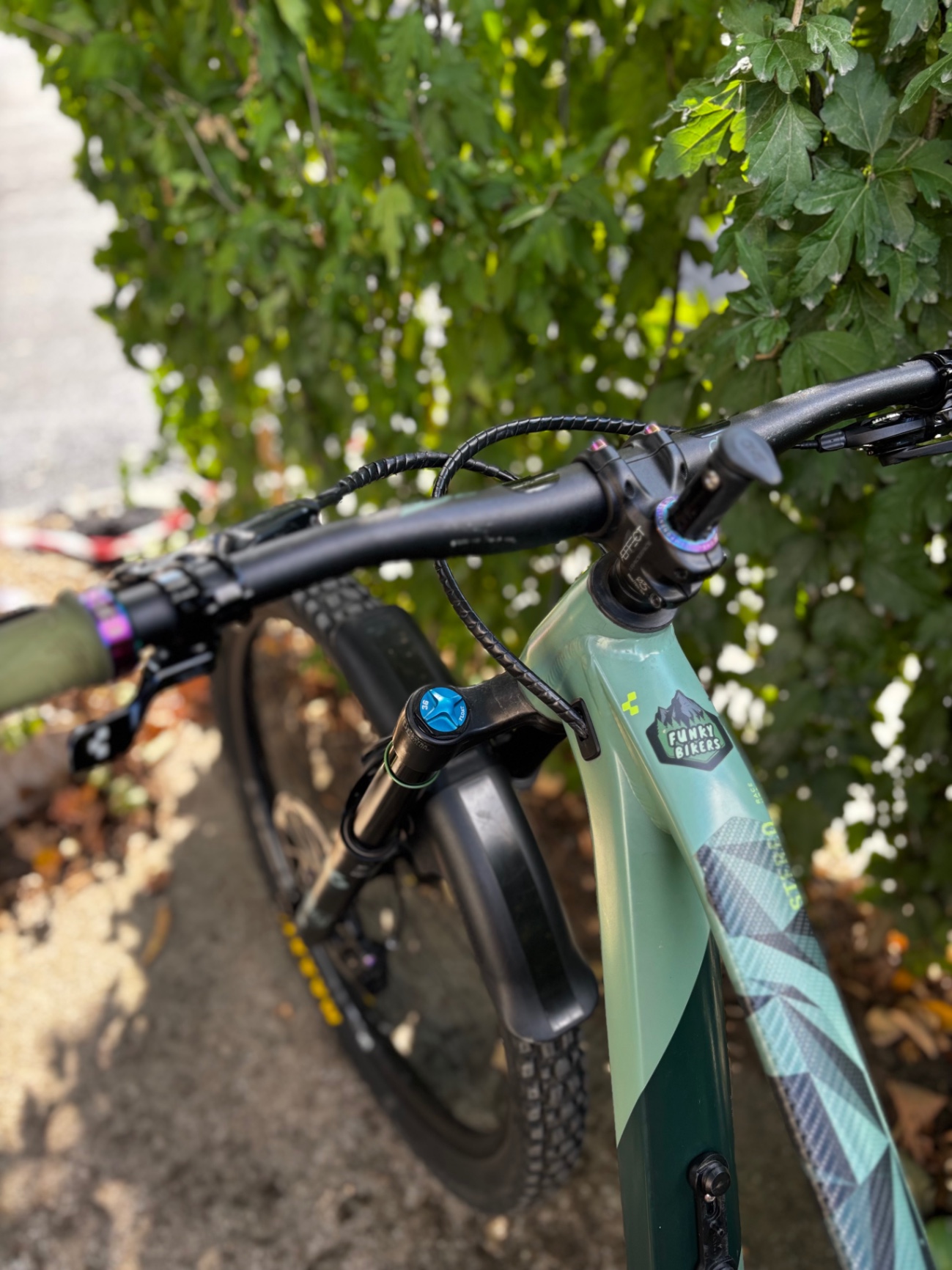 Bike view 5