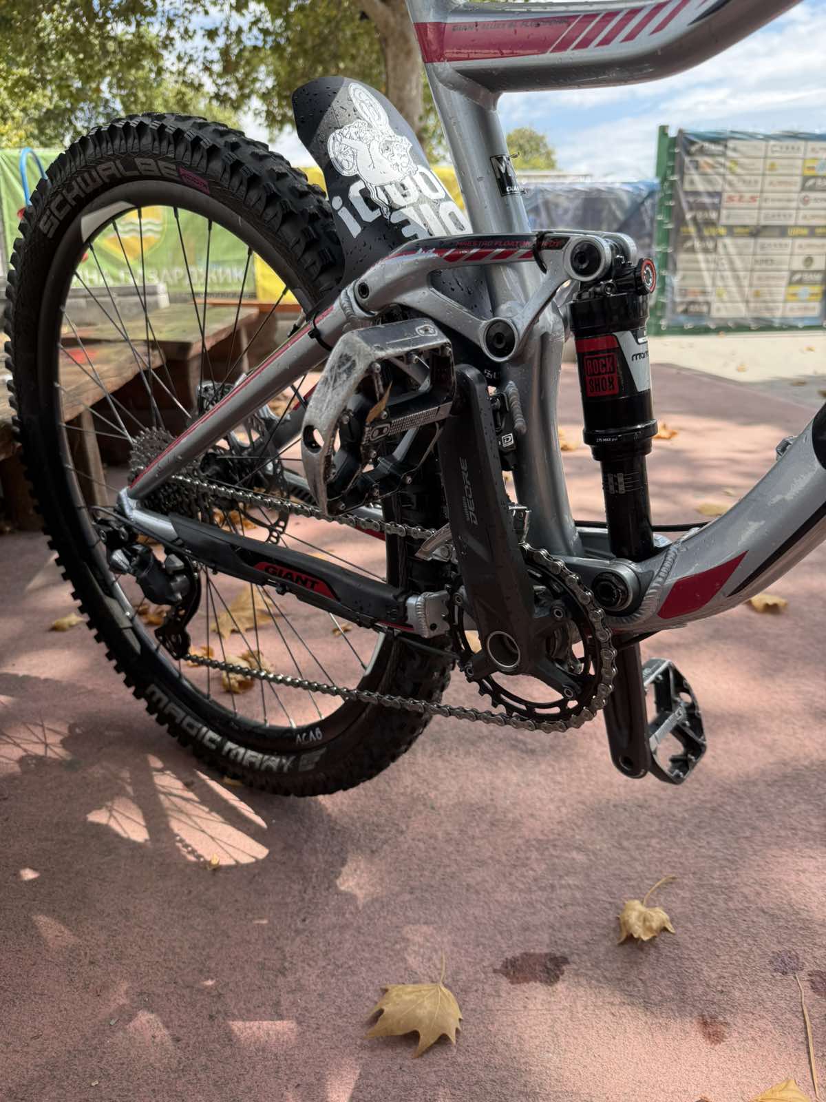 Bike view 8