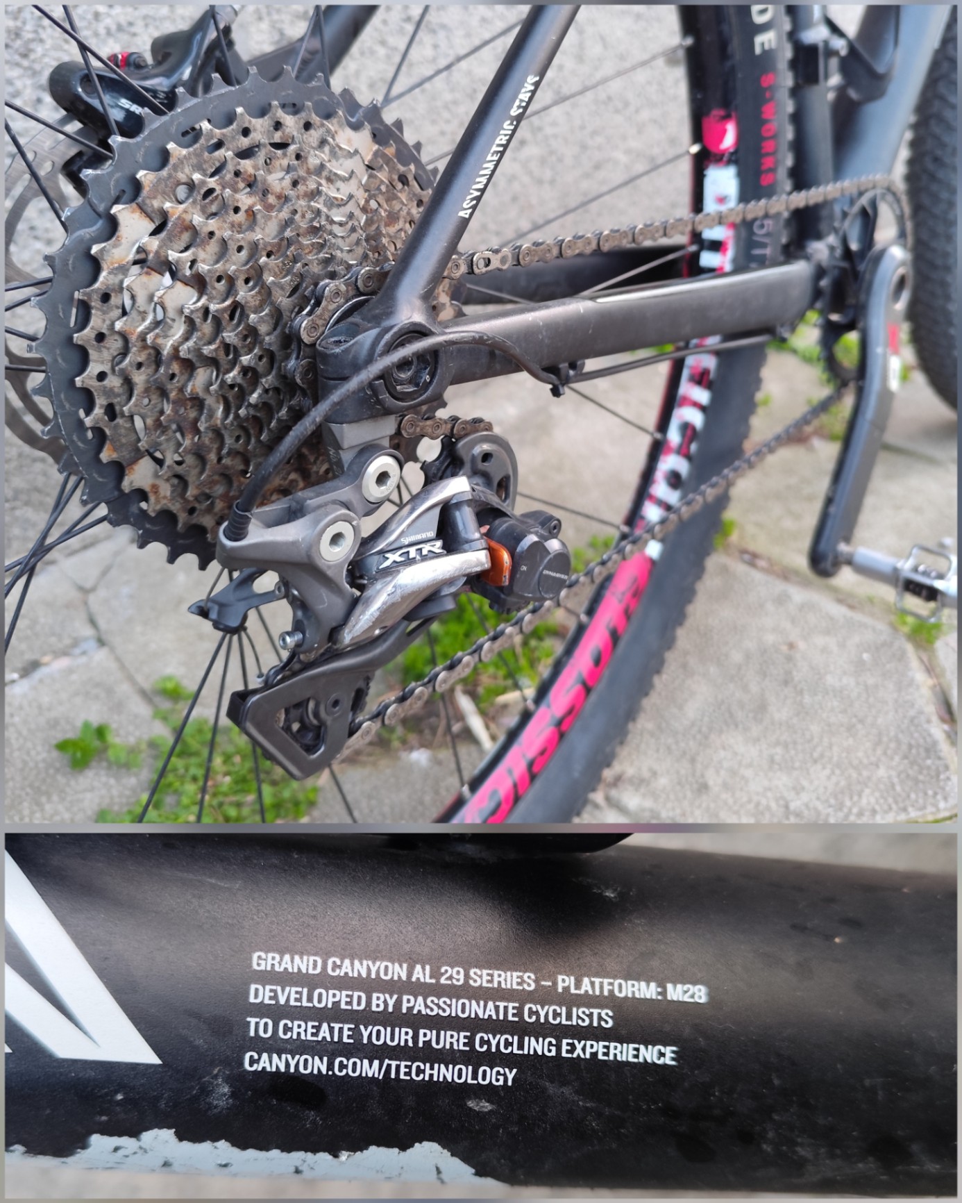 Bike view 8